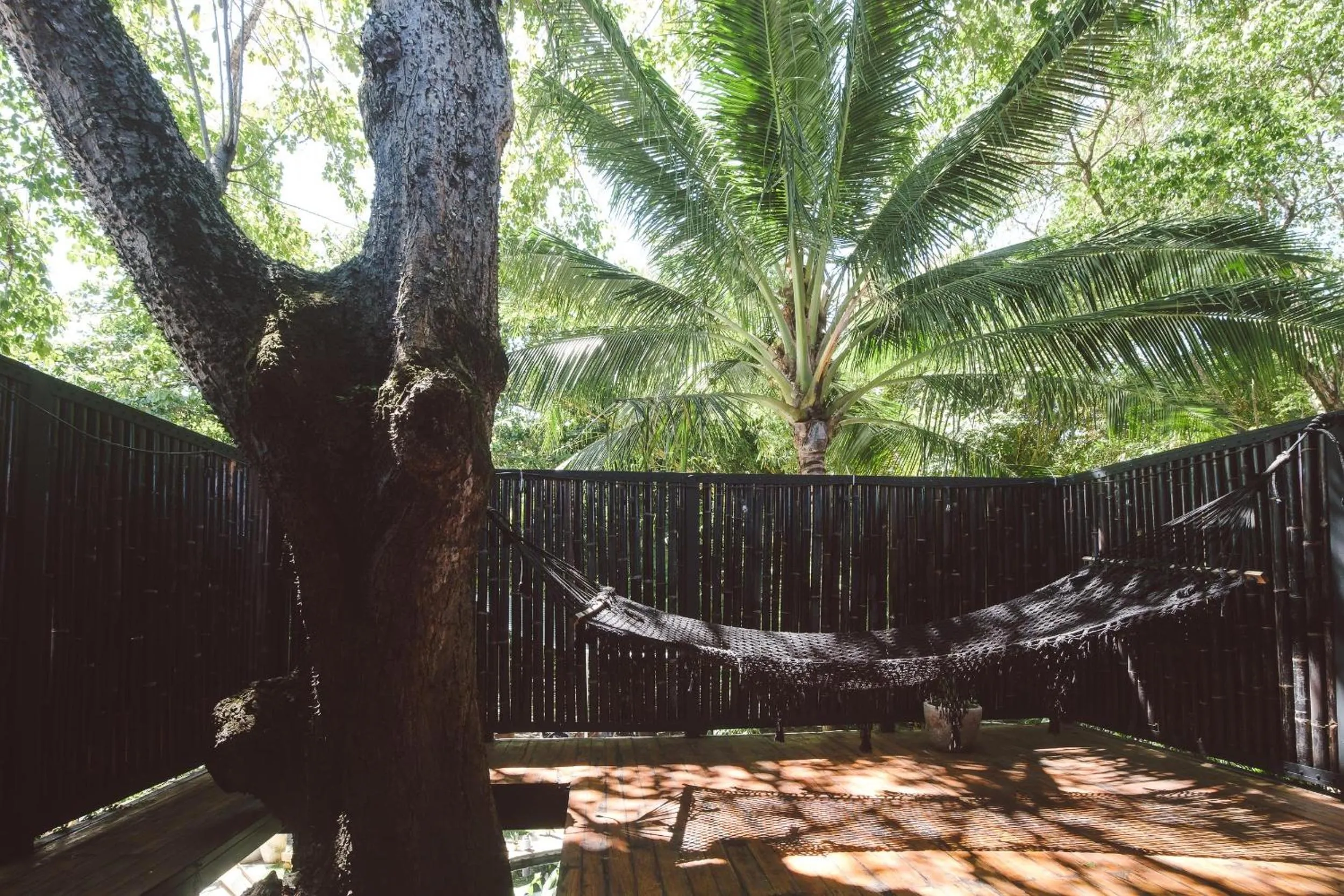 Natural landscape in La Negra Surf Hotel