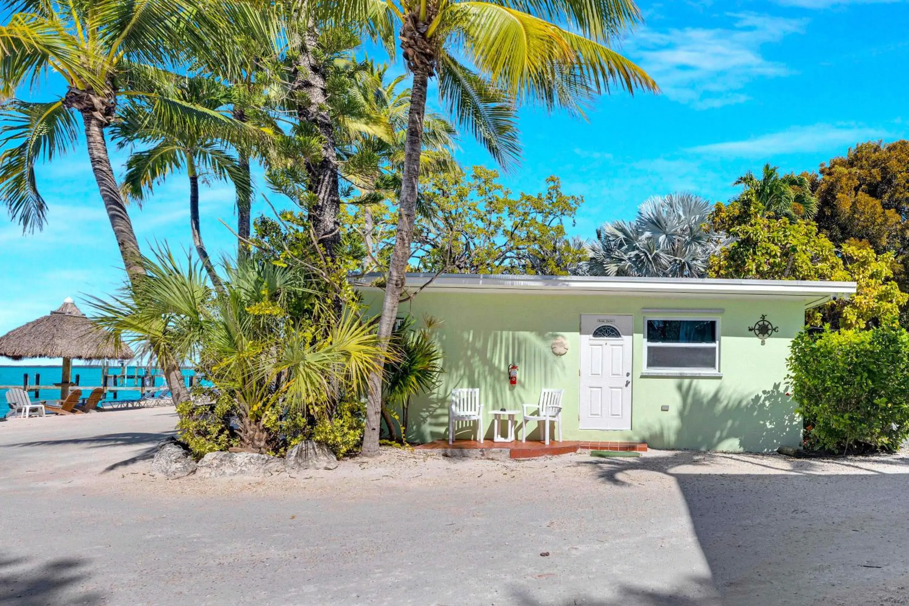 Sand Dollar in Sunset Cove Beach Resort Sand Dollar in Sunset Cove Beach Resort