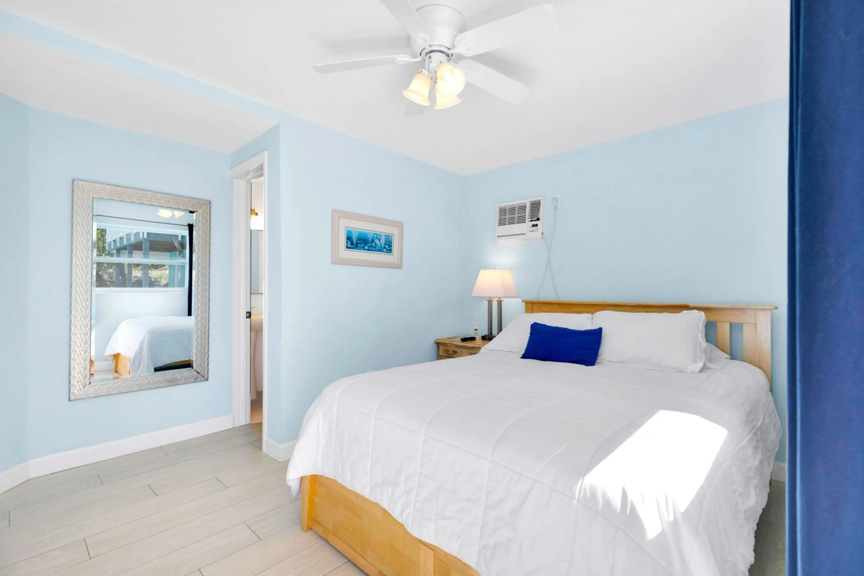 Sand Dollar in Sunset Cove Beach Resort