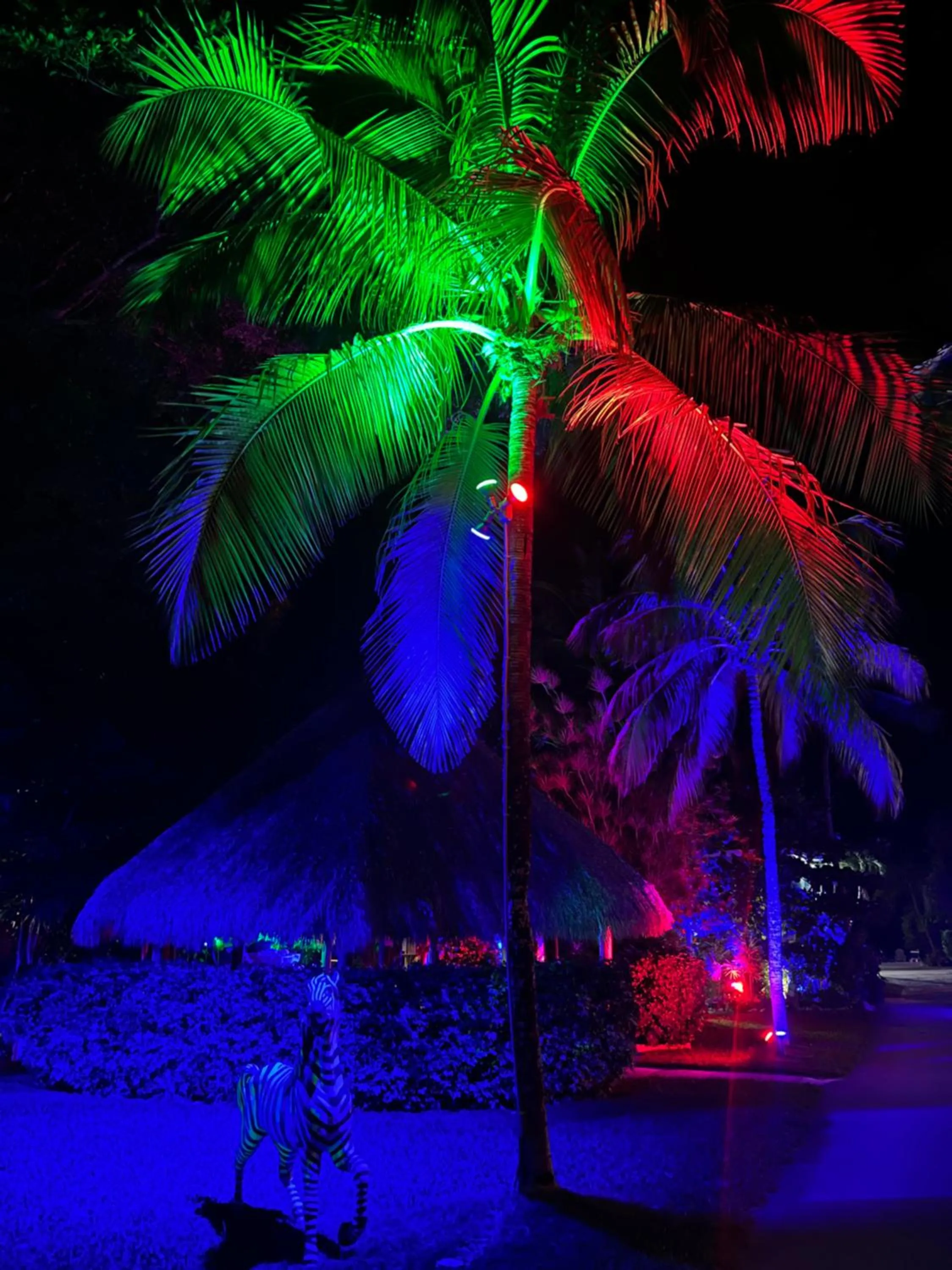 Sunset Cove Beach Resort