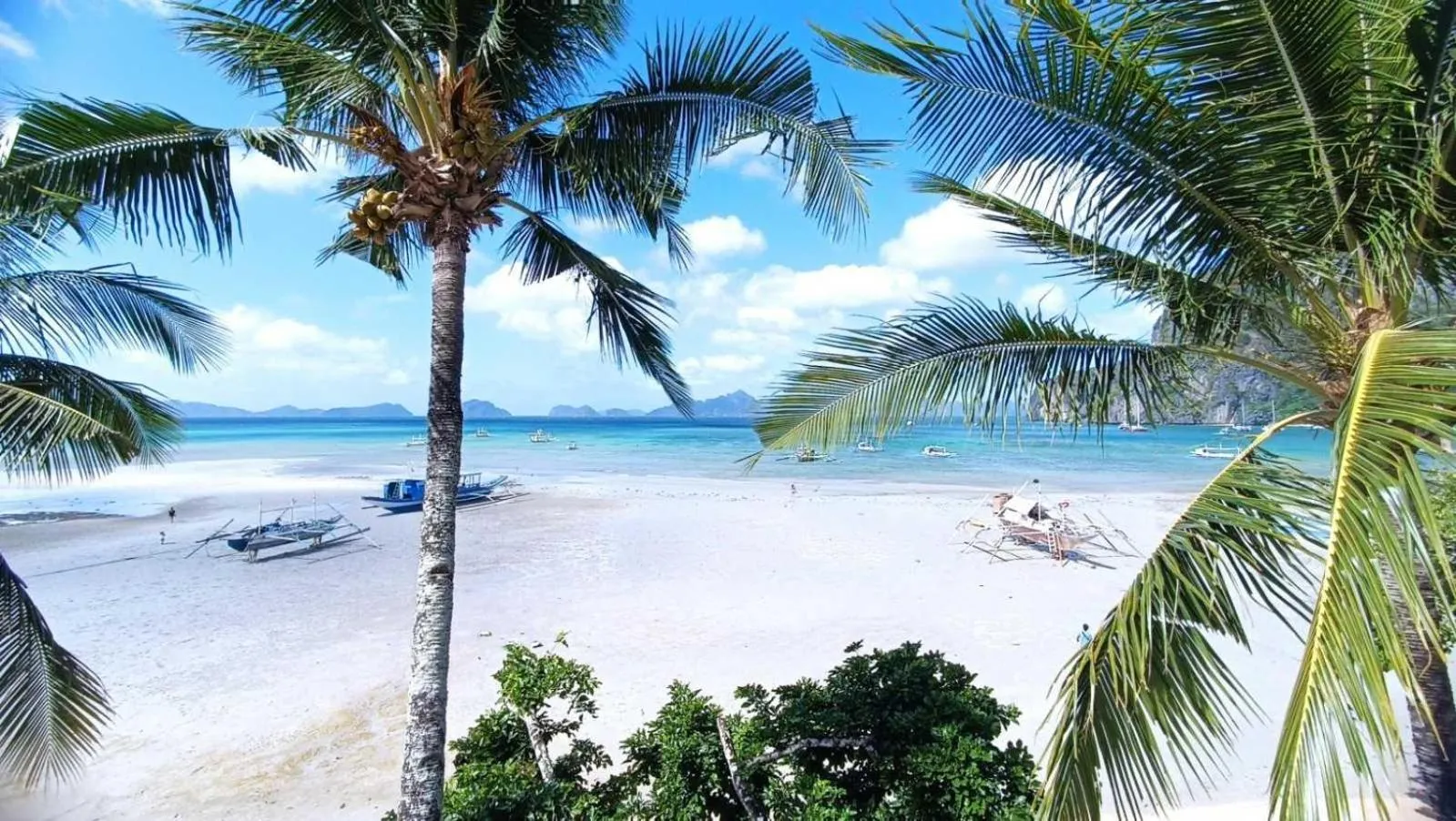 Natural landscape in Suites by Eco Hotels