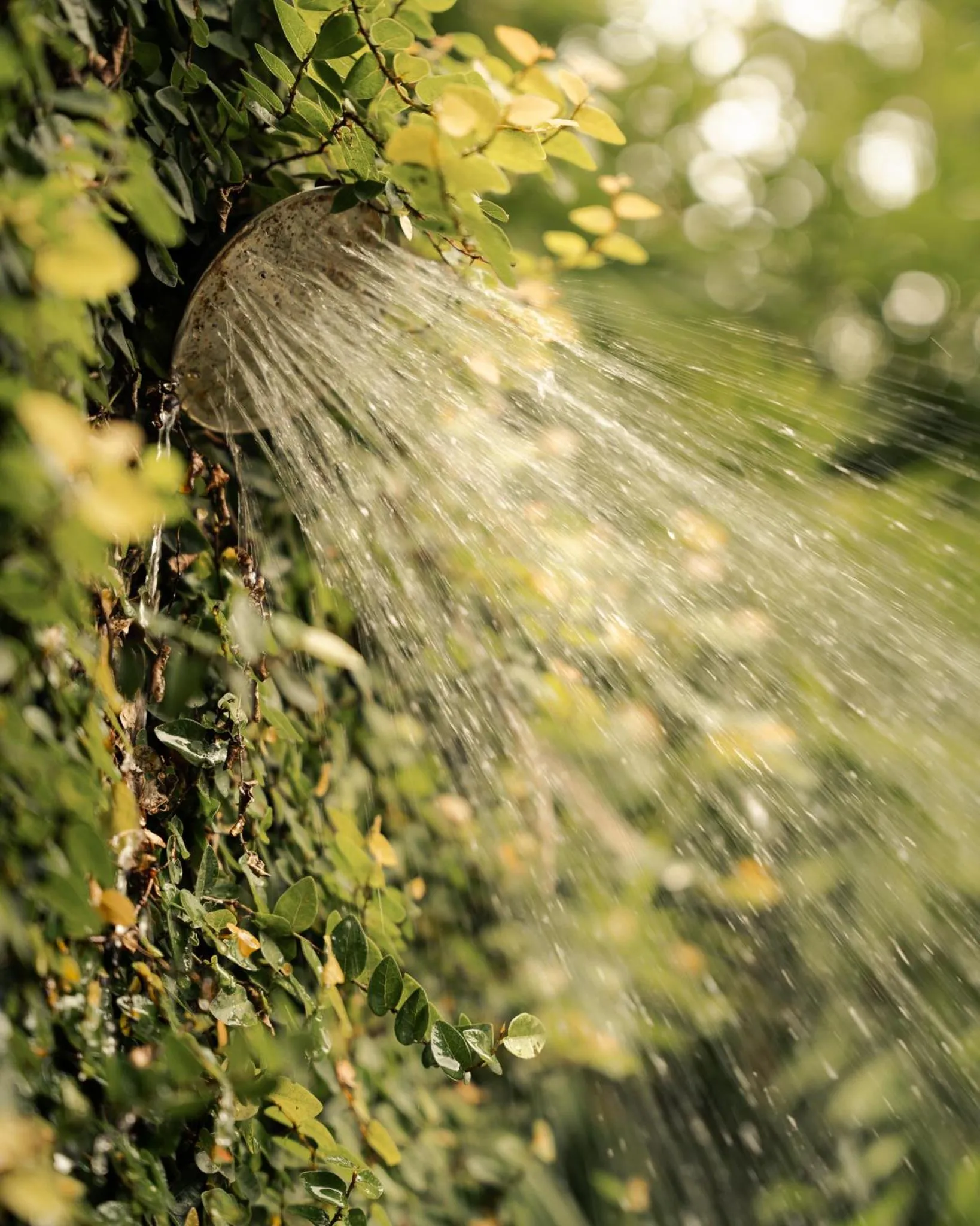 Patio in Hue Ecolodge