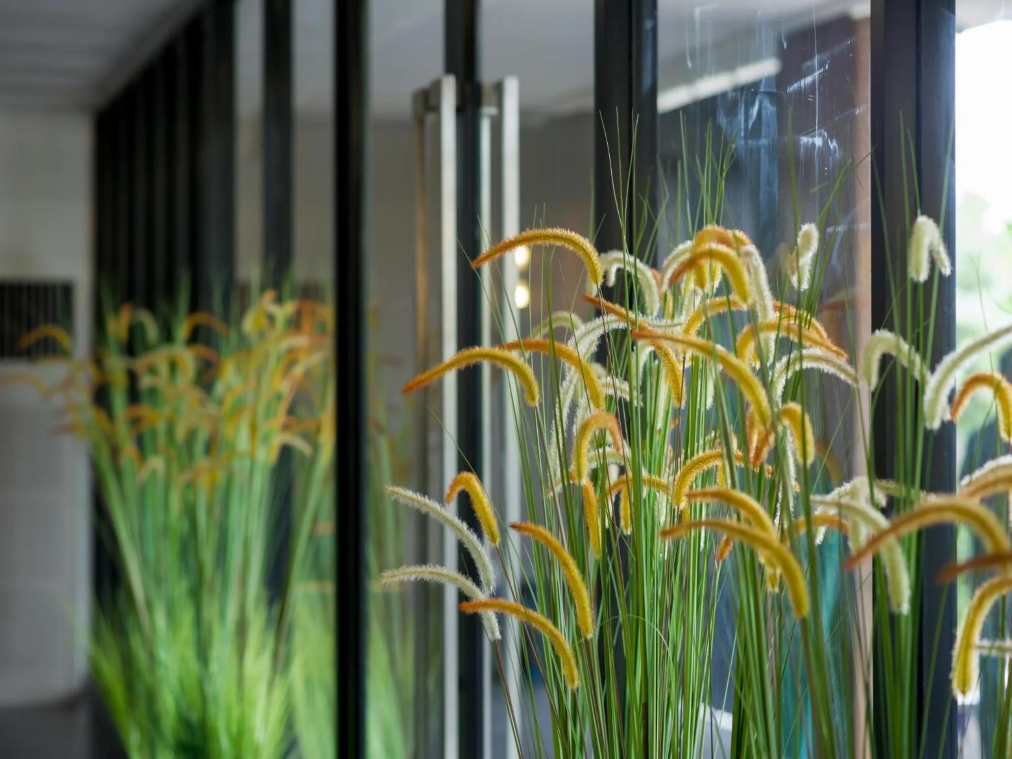 Day in iChapter Hotel Suvarnabhumi