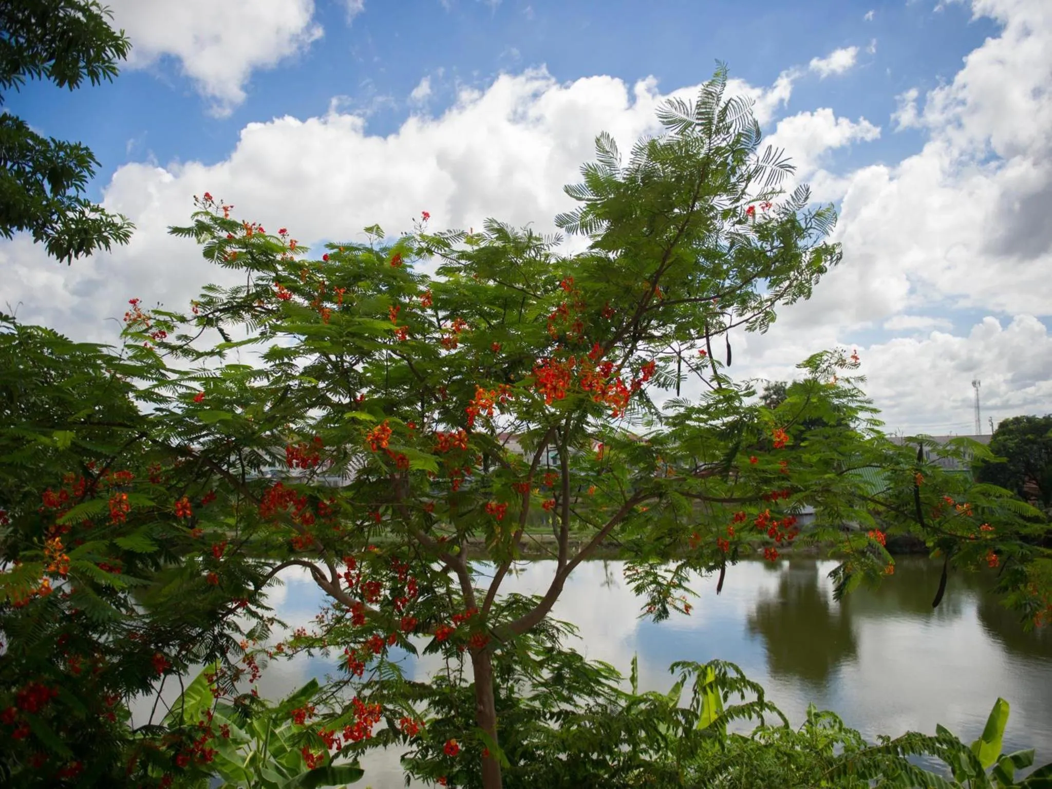 Day in iChapter Hotel Suvarnabhumi