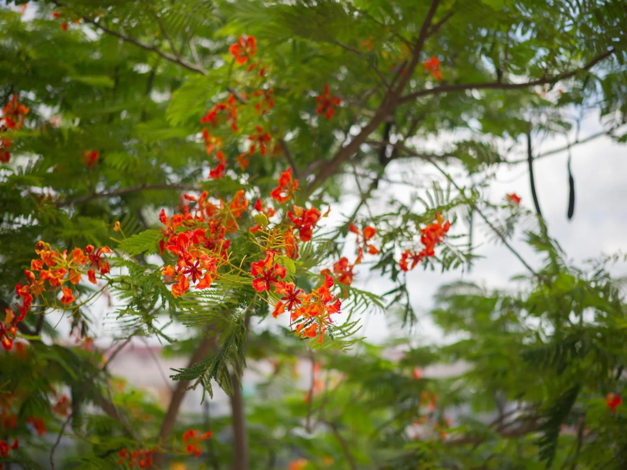 Day in iChapter Hotel Suvarnabhumi