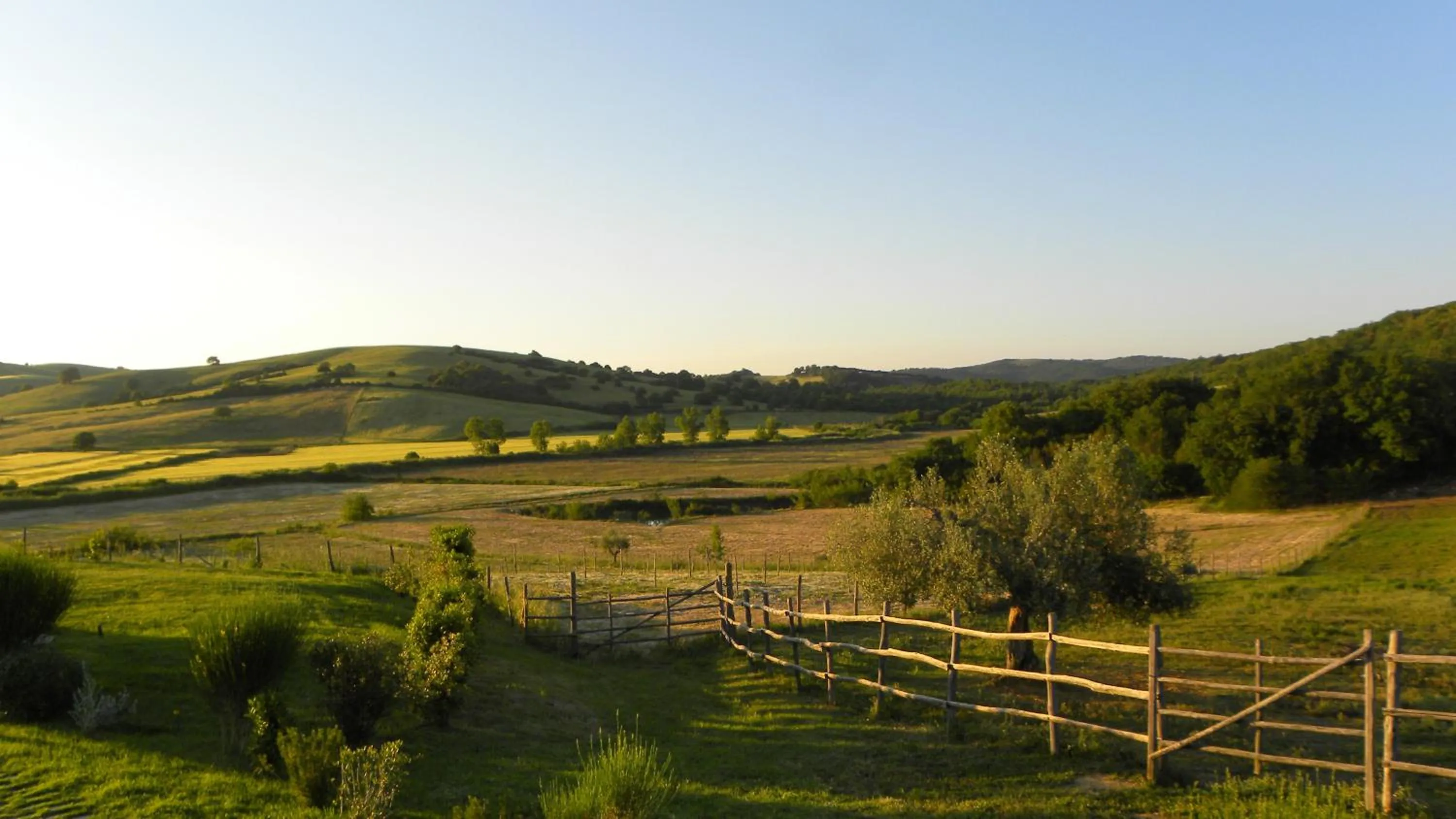 View (from property/room) in Macchiabuia