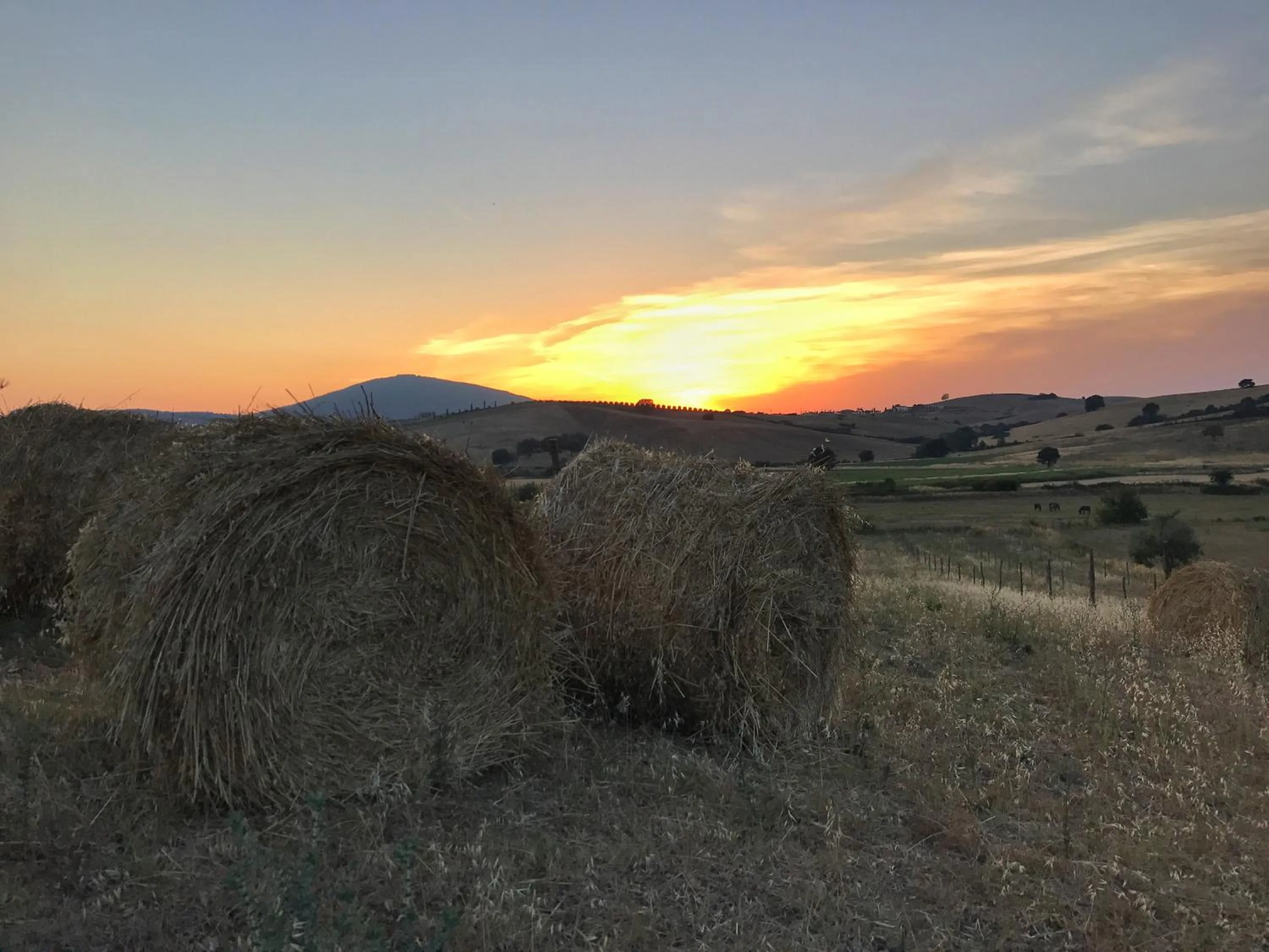 Neighbourhood in Macchiabuia