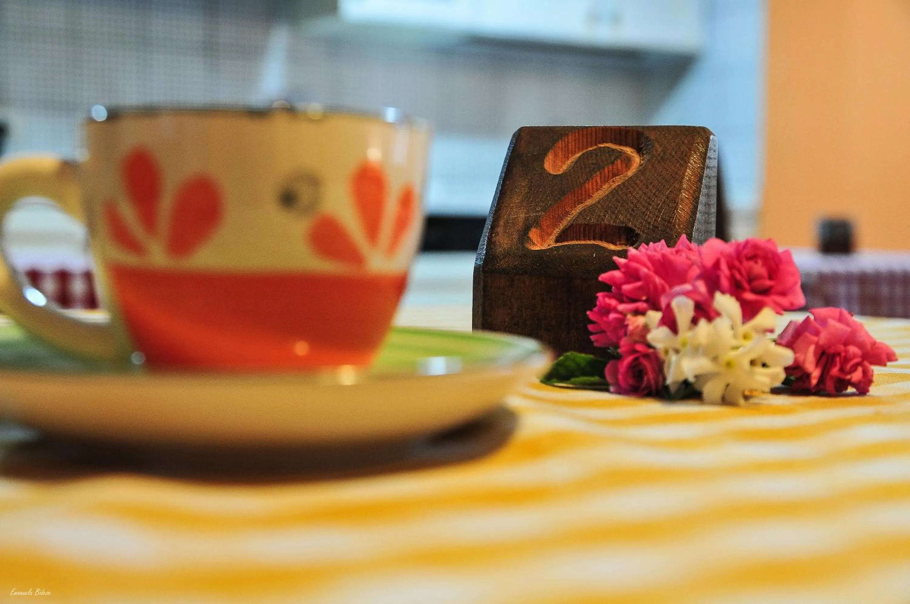 Decorative detail in Casalventodimare e Tramontana