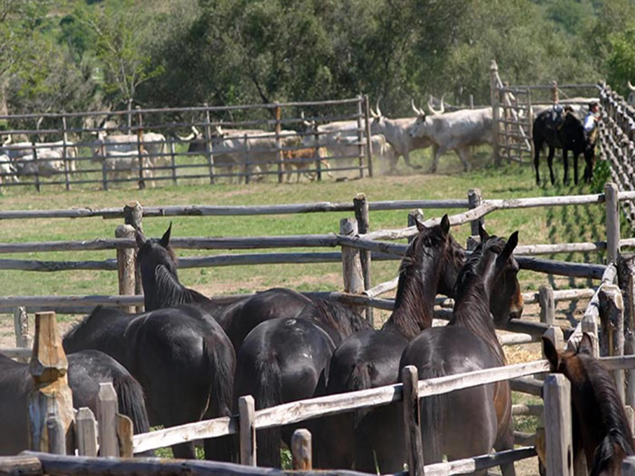 Other in Casalventodimare e Tramontana