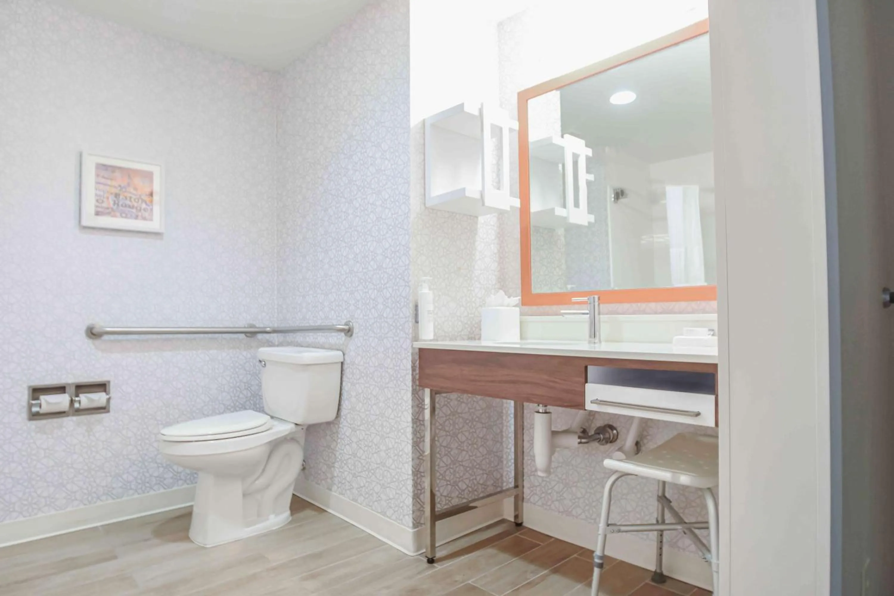 Bathroom in Hampton Inn Baton Rouge - Denham Springs