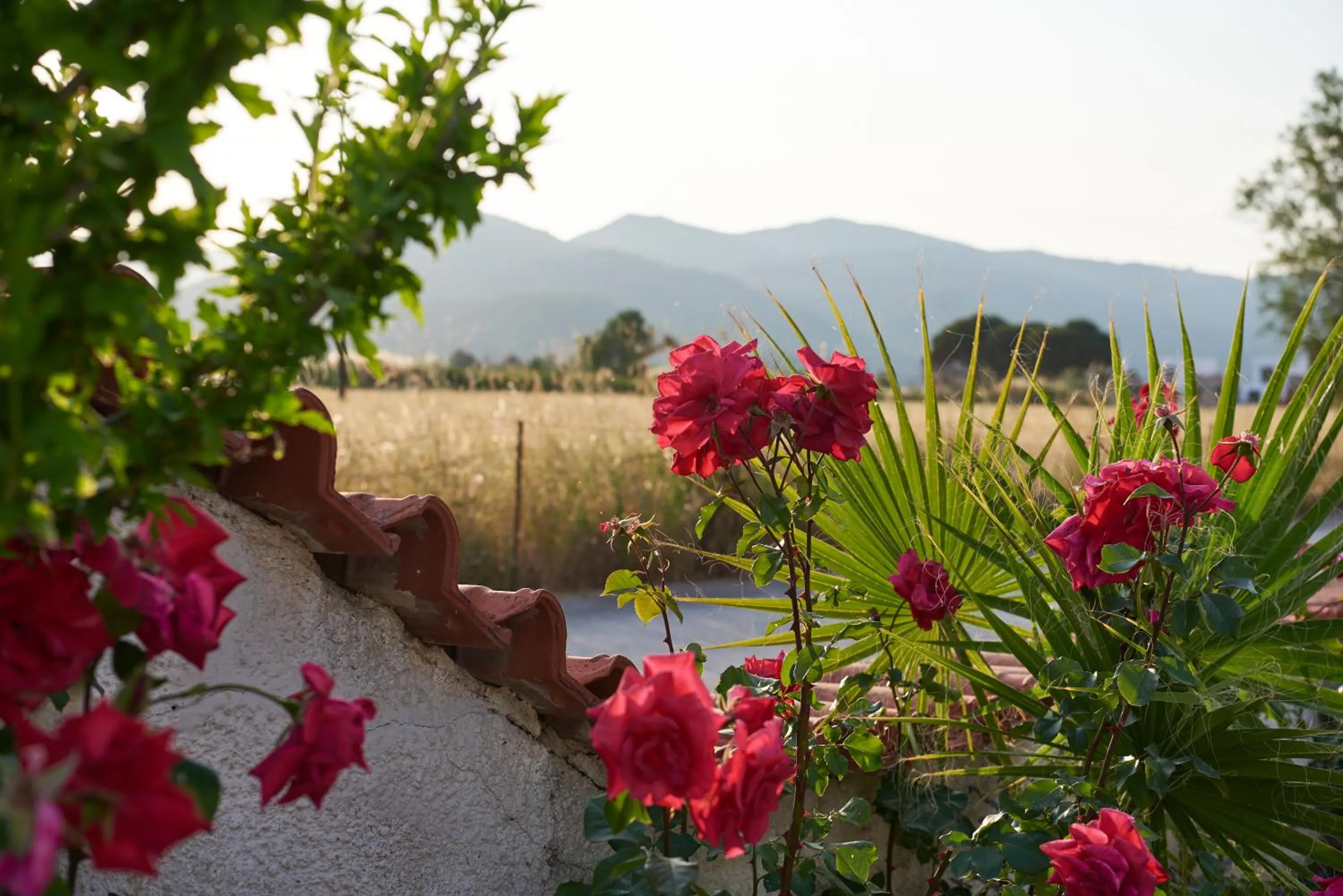Natural landscape in Kalloni Bay