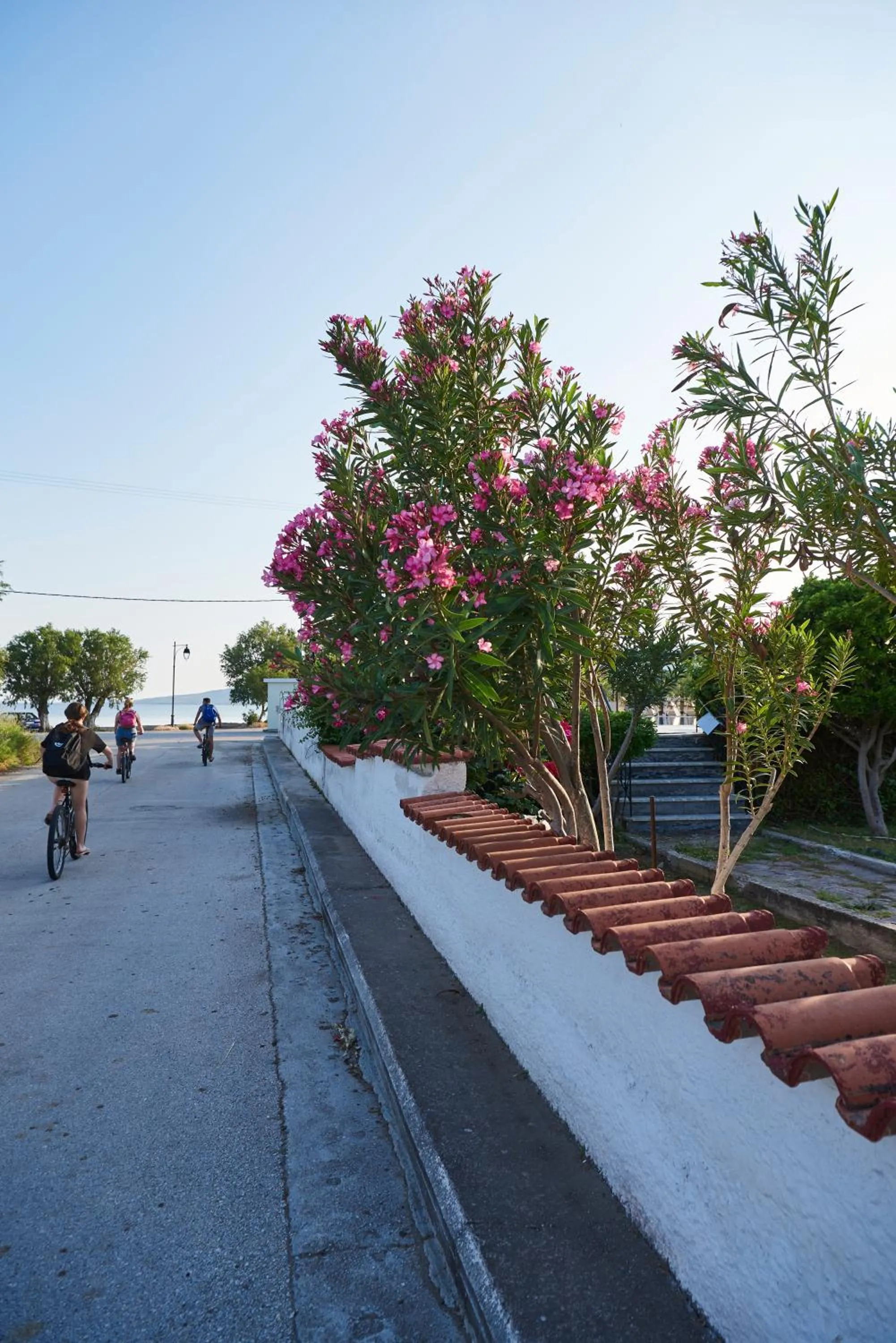 Cycling in Kalloni Bay
