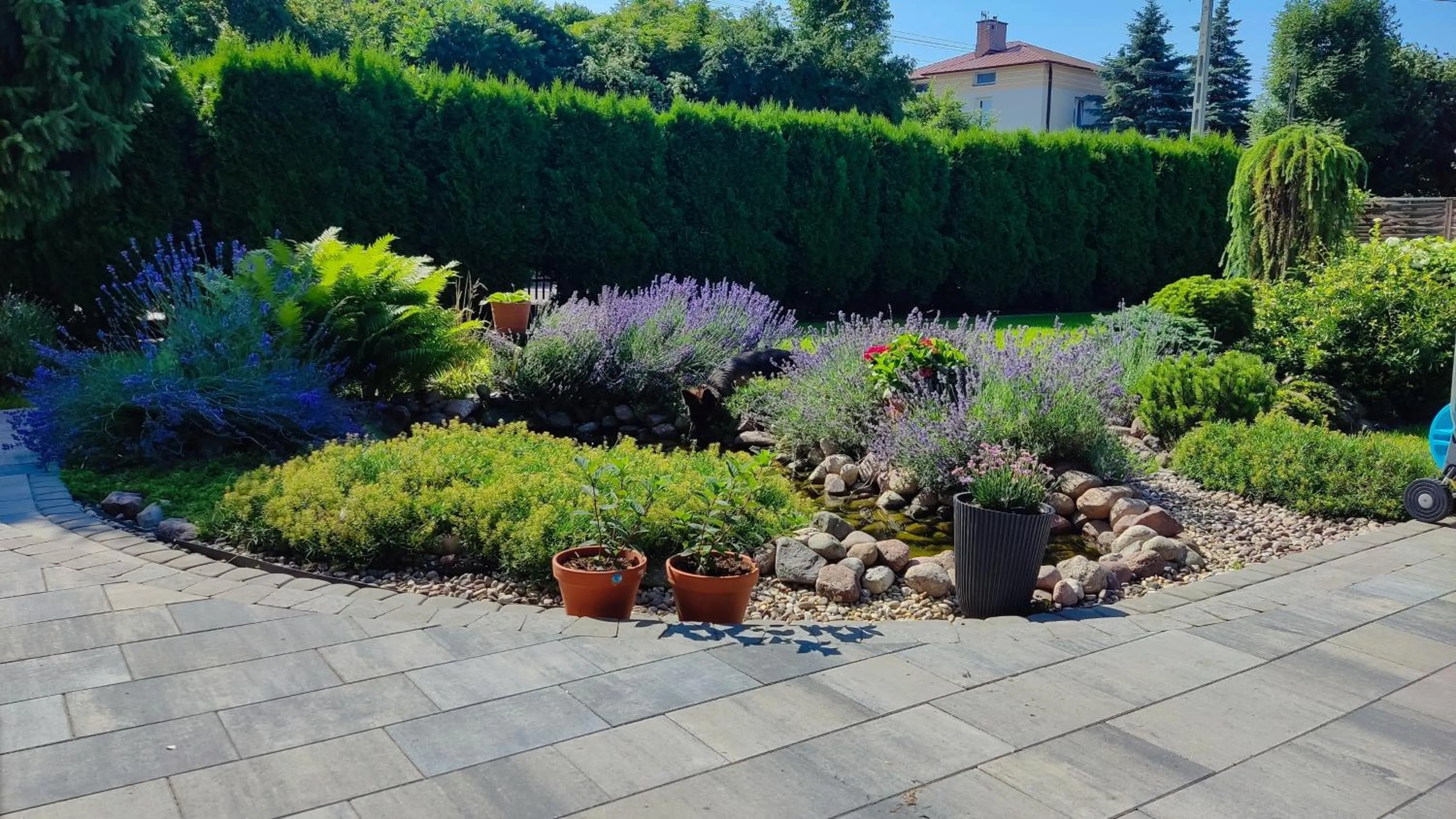 Garden view in Willa Zaciszne Centrum Augustów