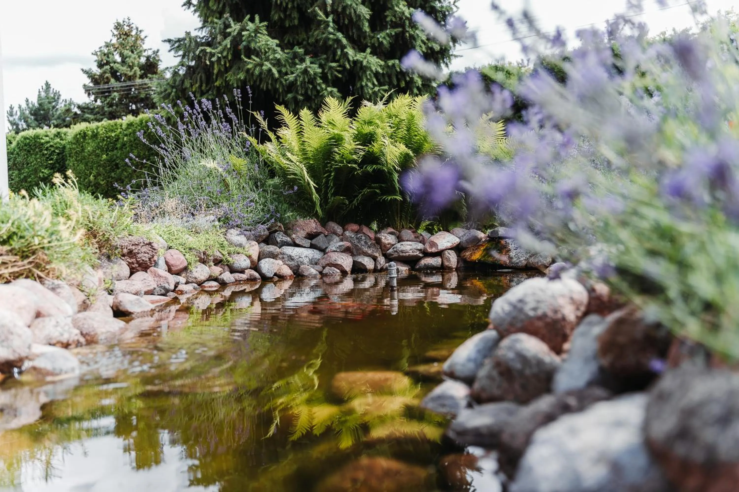 Natural landscape in Willa Zaciszne Centrum Augustów