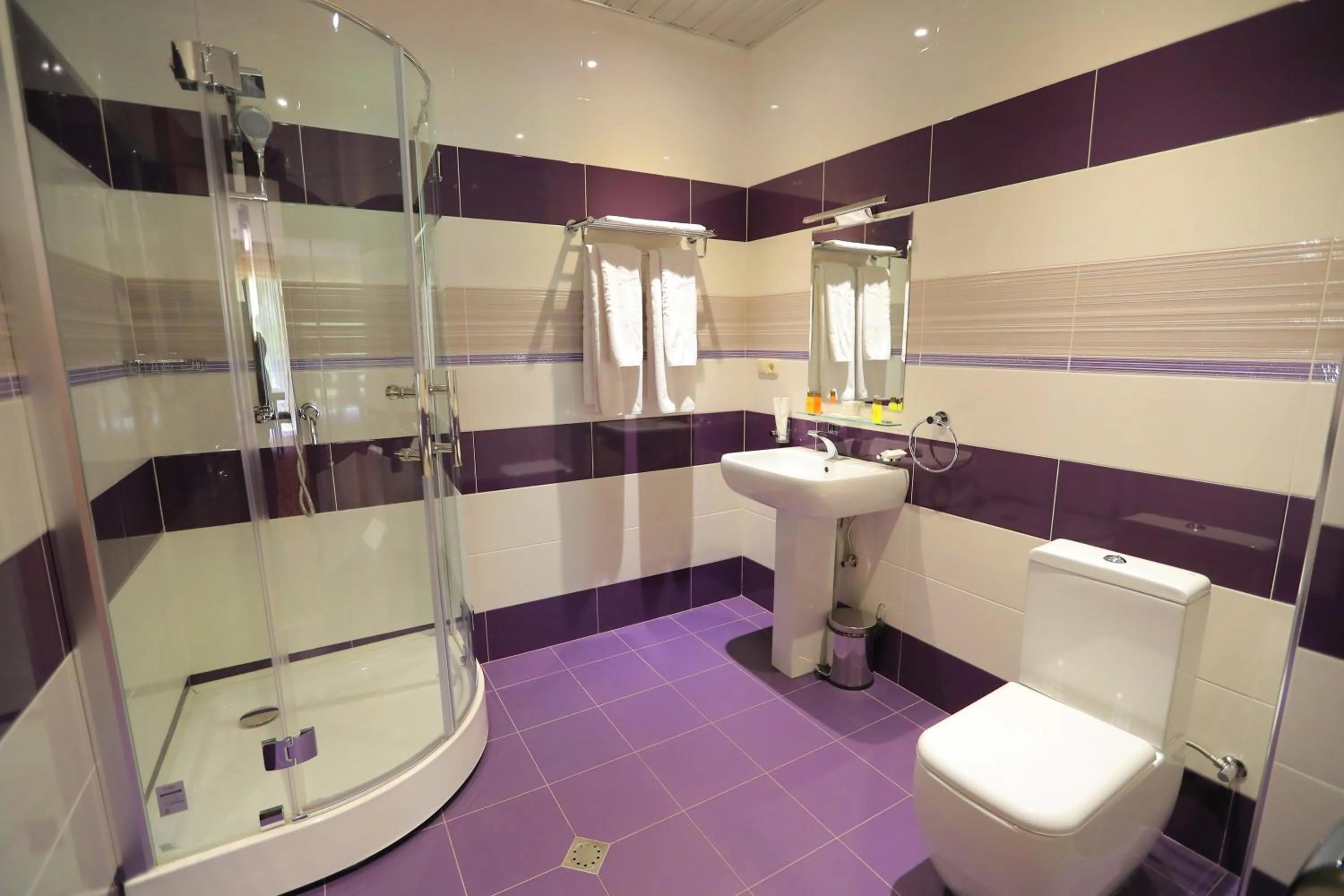 Shower in Aghveran Ararat Resort Hotel