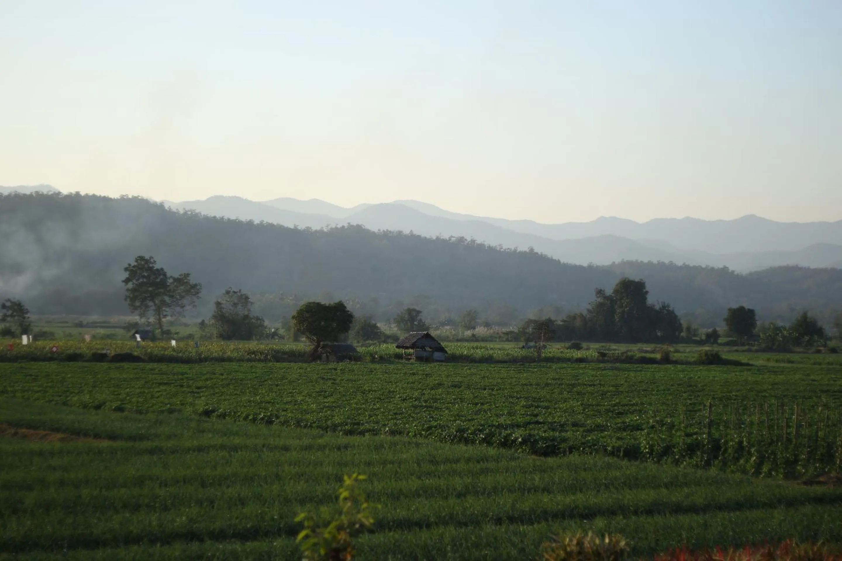 Natural landscape in Baan Khue Wieng Resort