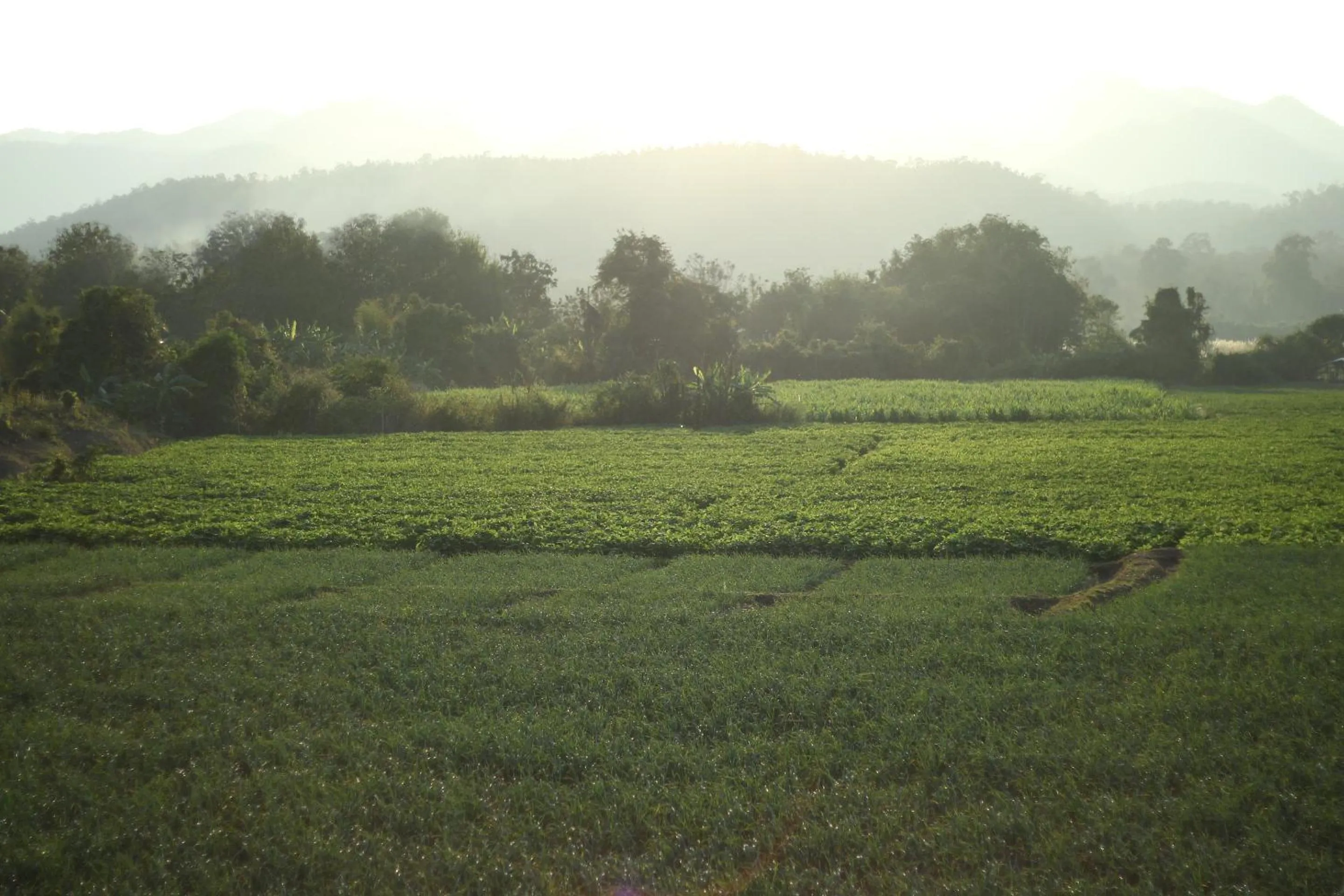 Natural landscape in Baan Khue Wieng Resort