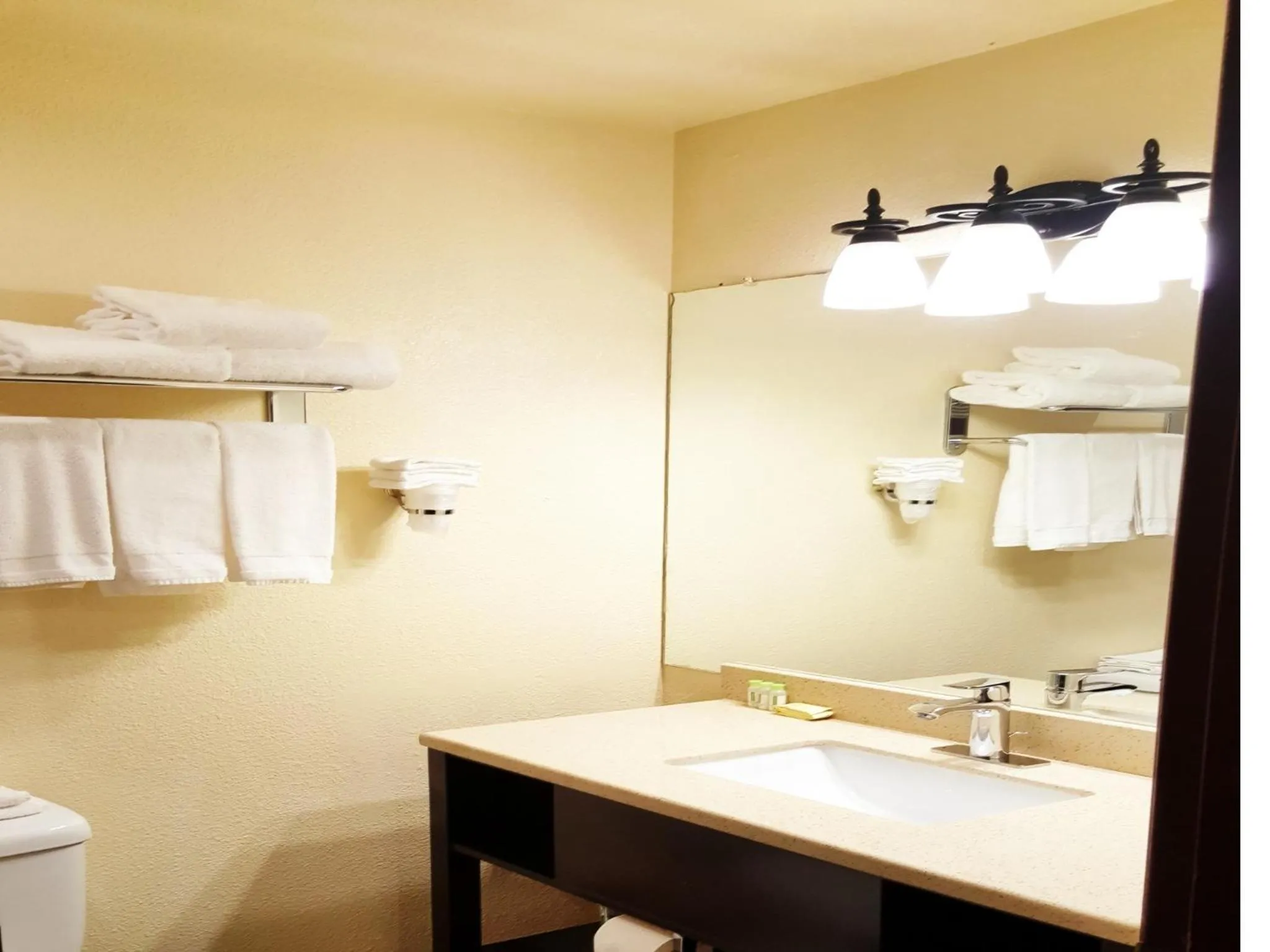 Bathroom in Sutton Suites Hotel