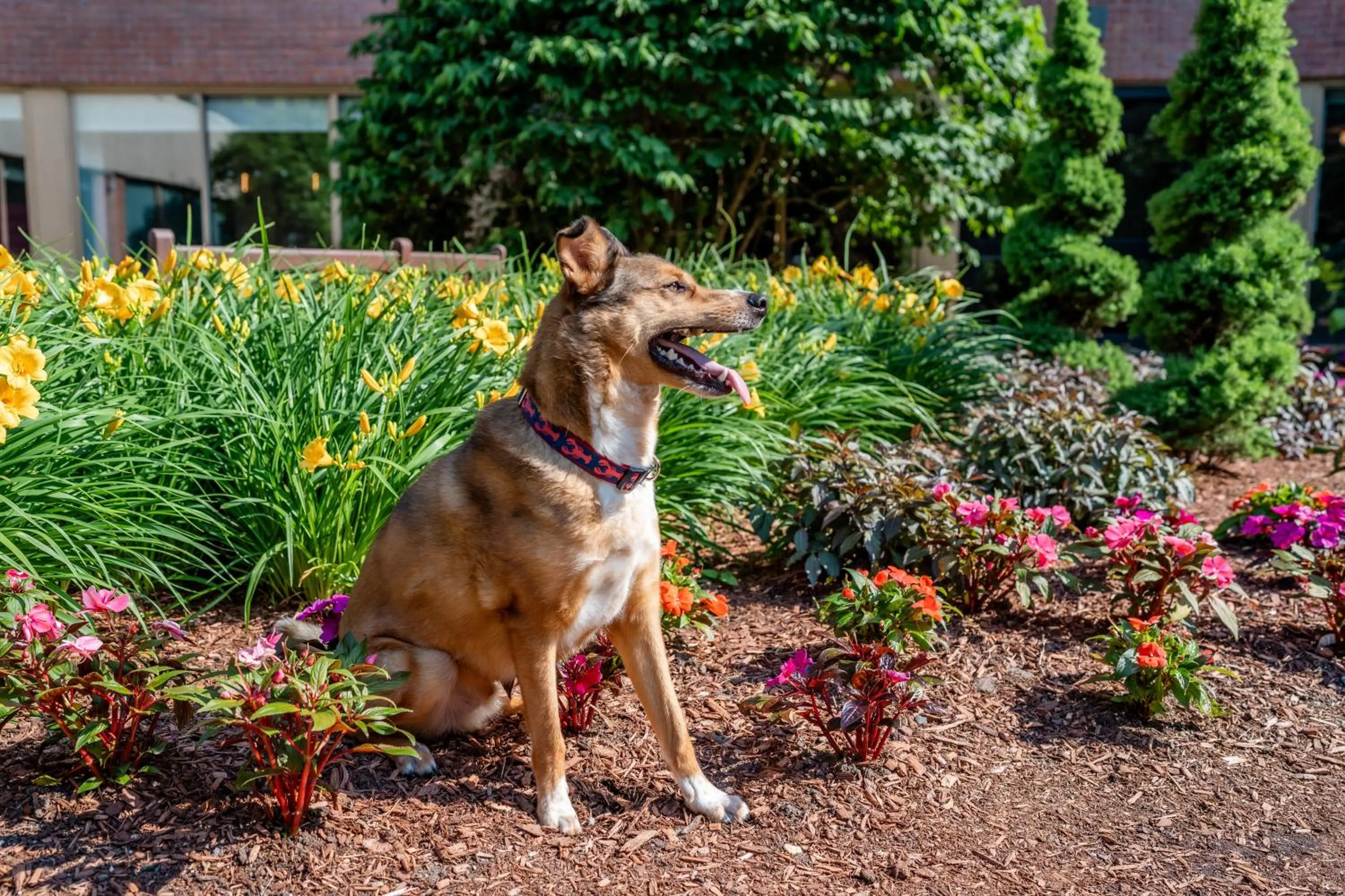 Inner courtyard view in Hyatt Regency Boston/Cambridge