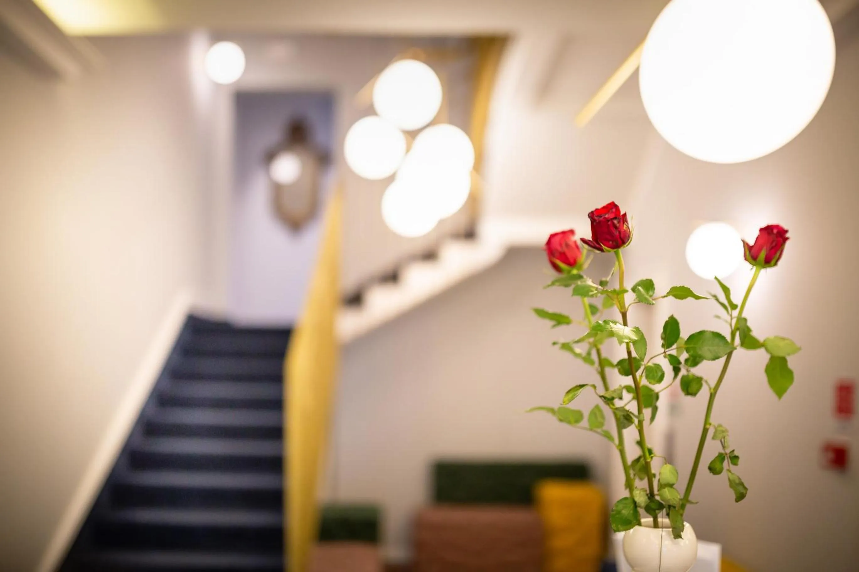 View (from property/room) in Hotel Le Lampare