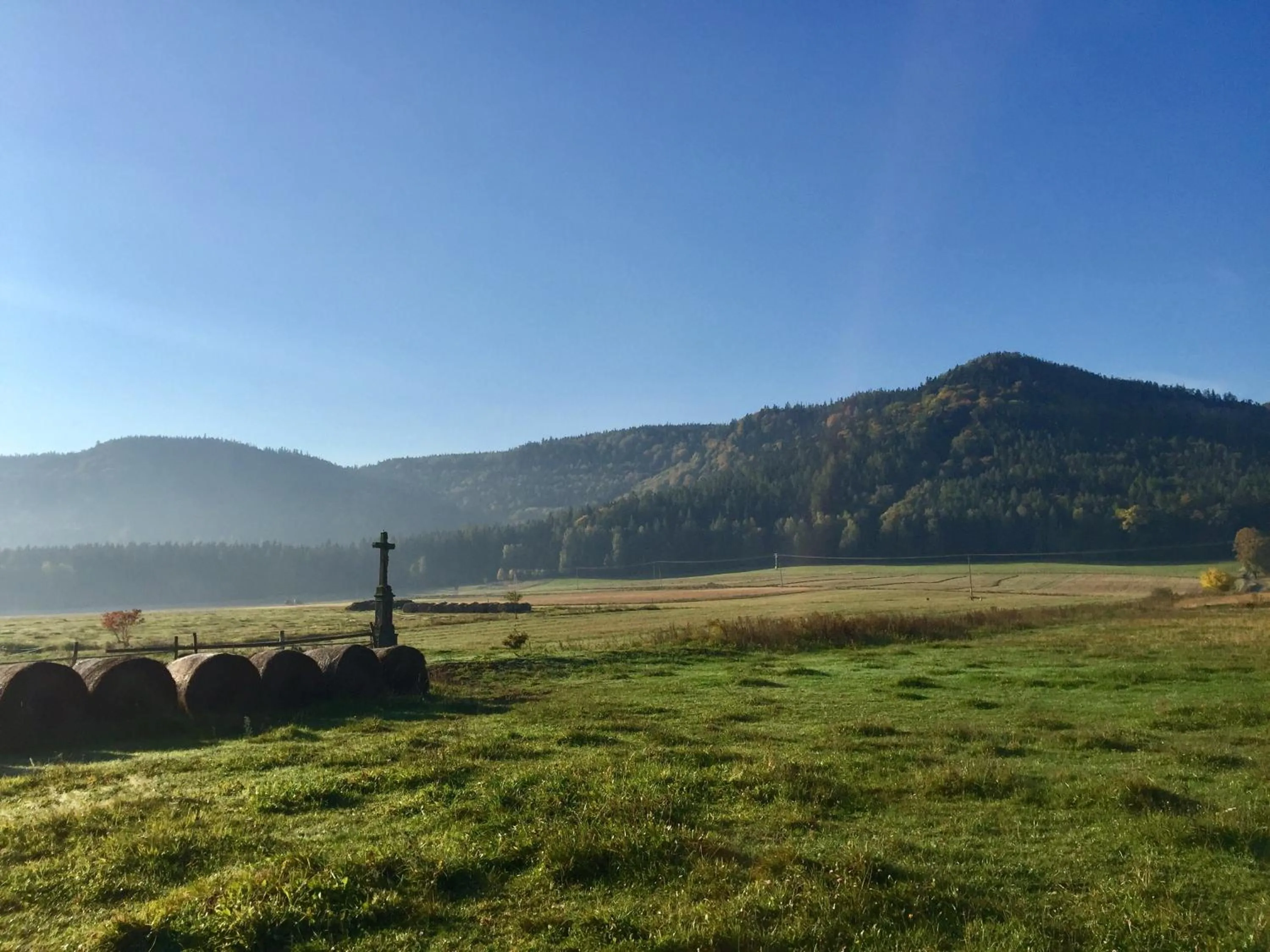 Natural landscape in Centrum Łąkowa 1
