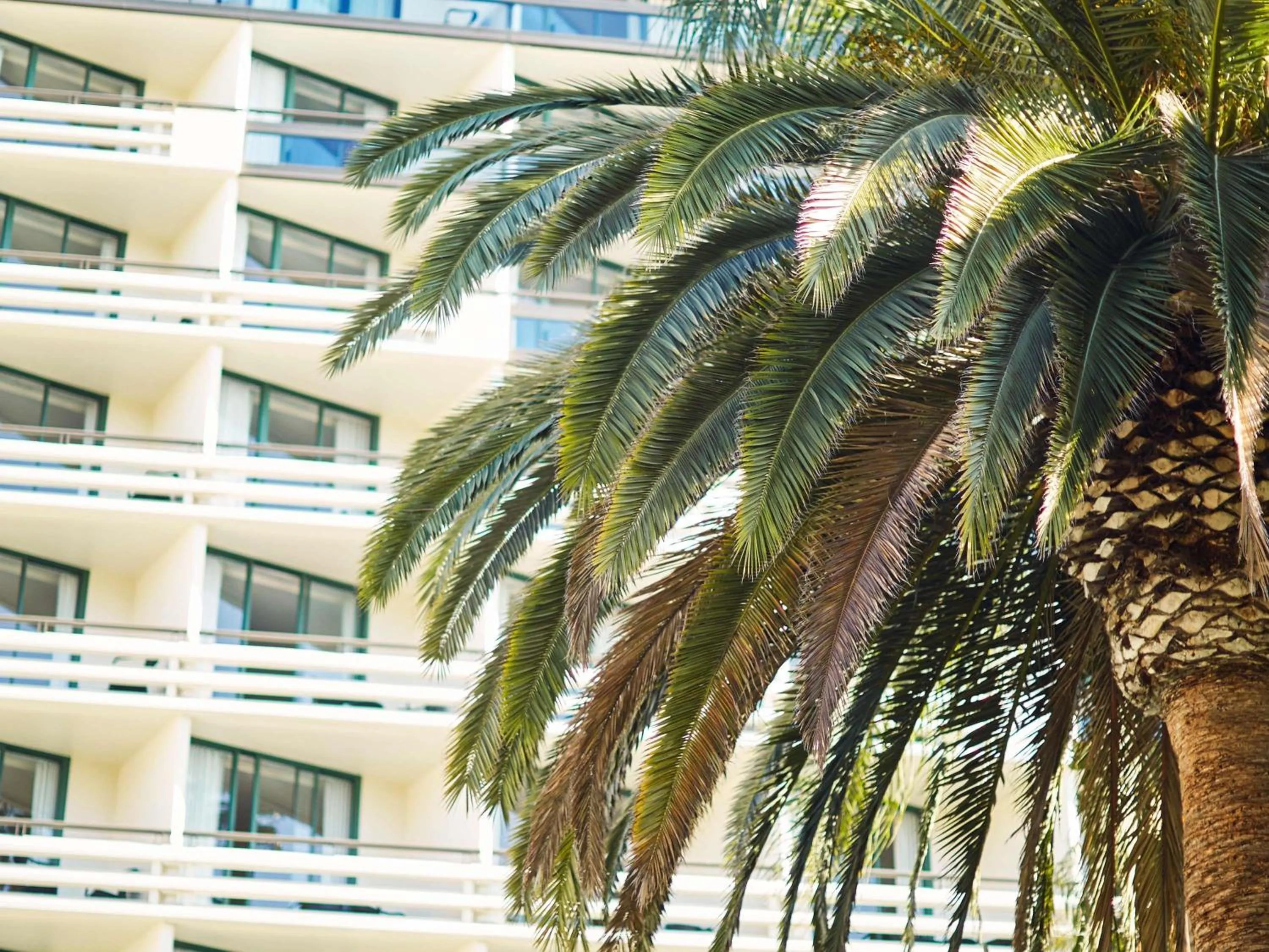 Bedroom in Fairmont Miramar Hotel & Bungalows
