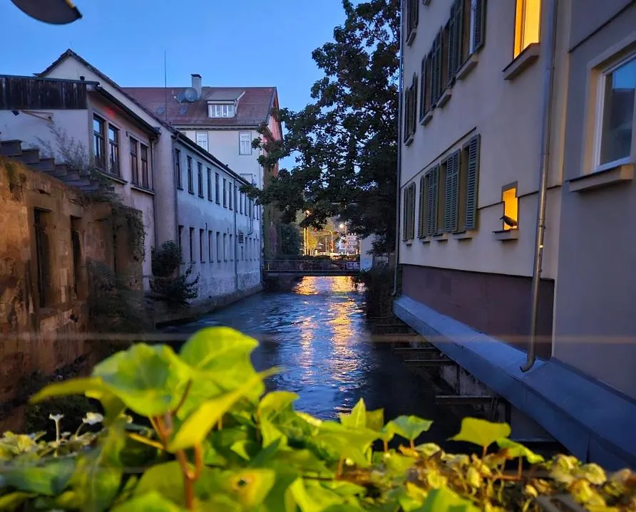 Balcony/Terrace in Ecoinn