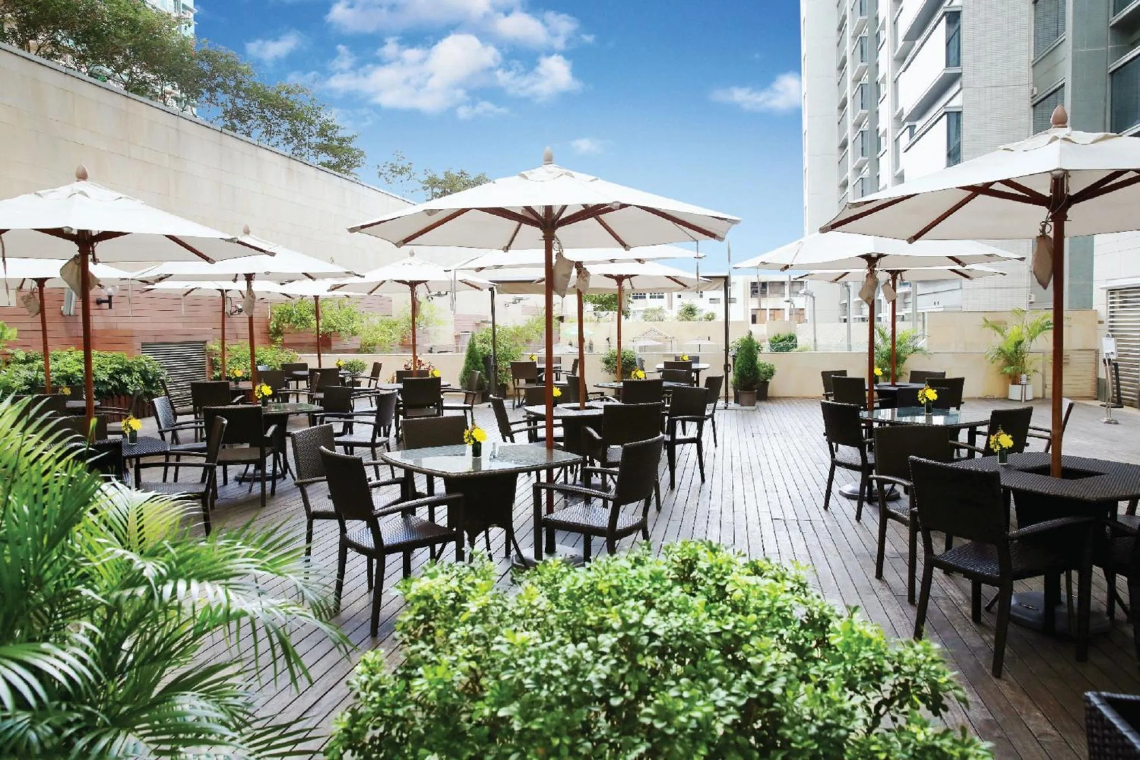 Balcony/Terrace in Harbour Plaza 8 Degrees