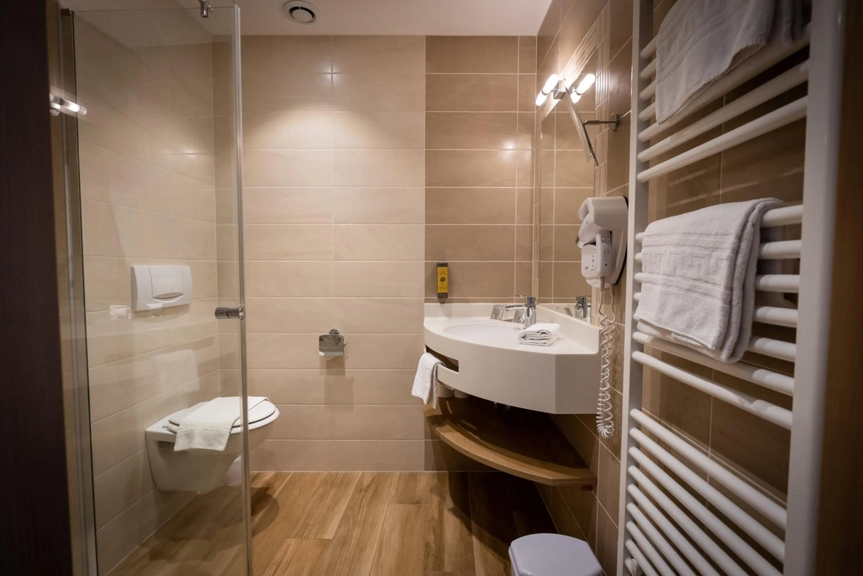 Shower in Logis Hôtel de la Tour