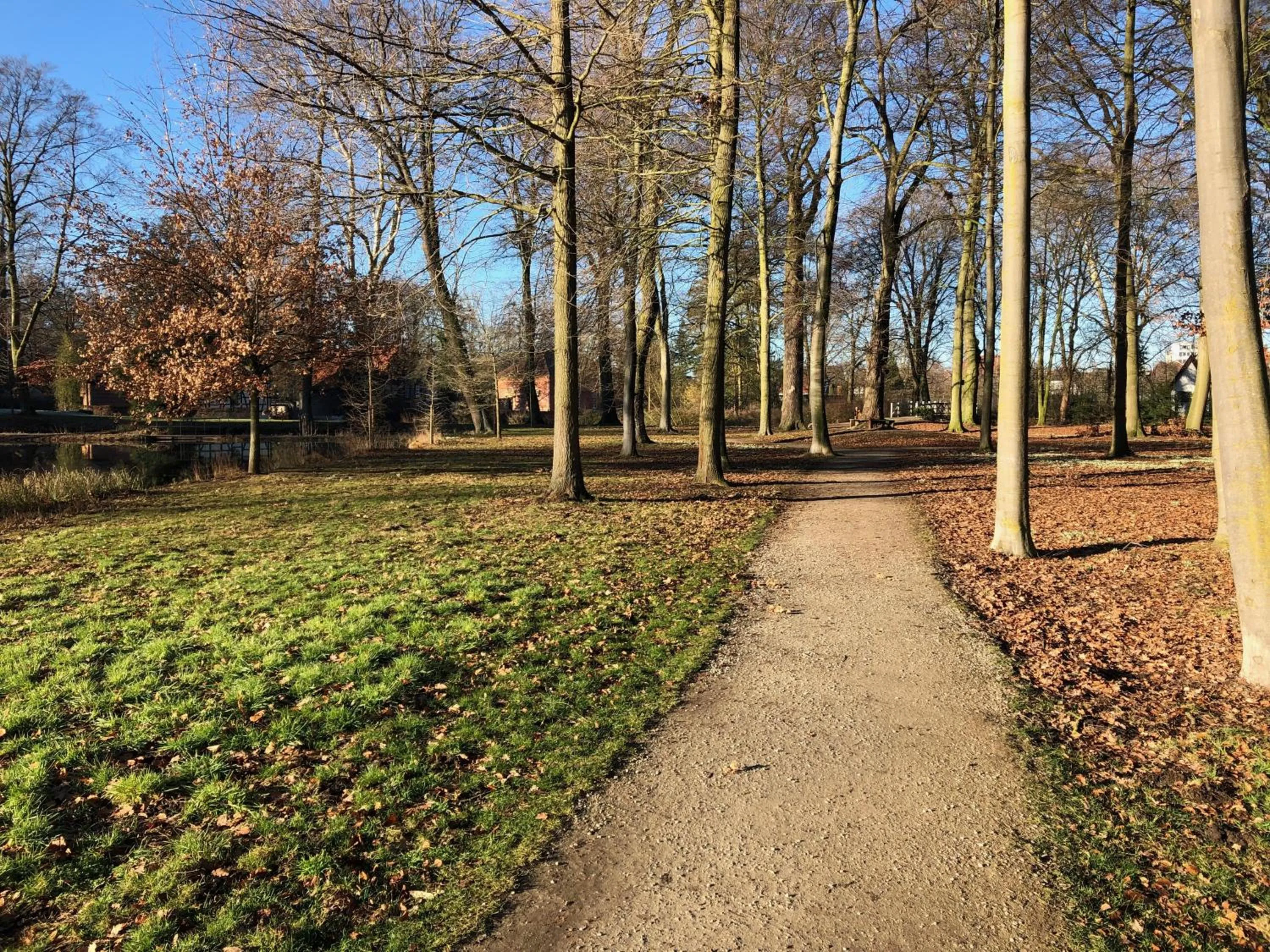 Neighbourhood in König`s Hotel am Schlosspark