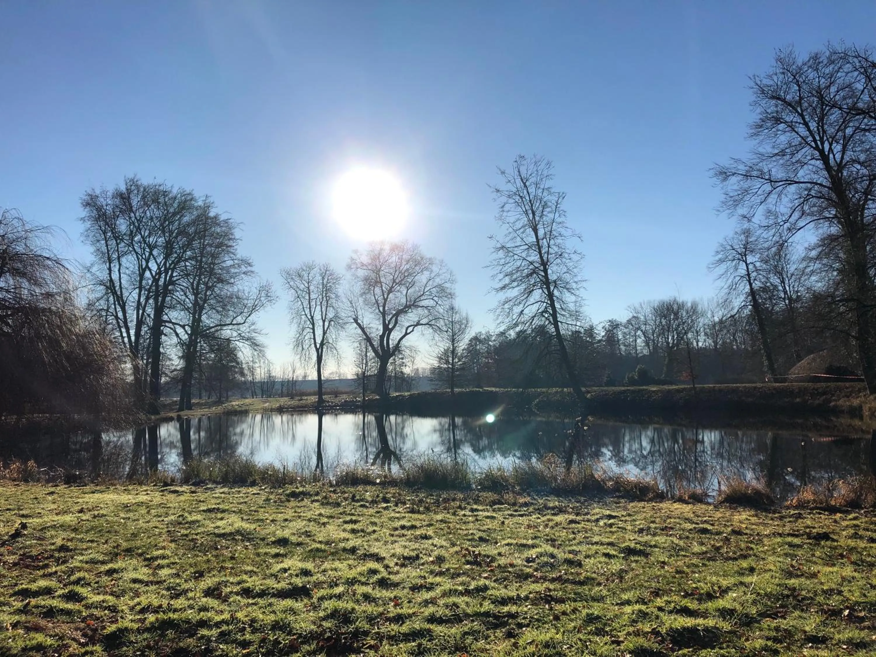 Neighbourhood in König`s Hotel am Schlosspark