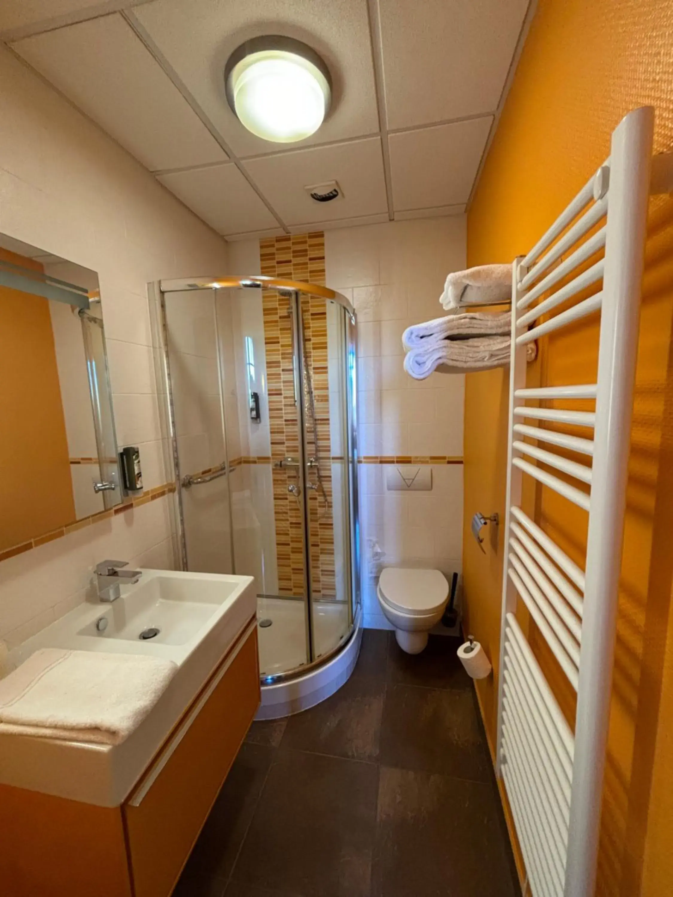 Superior studio 1 person in Garden & City Luxeuil Ex Le Métropole et Les Thermes Superior studio 1 person in Garden & City Luxeuil Ex Le Métropole et Les Thermes