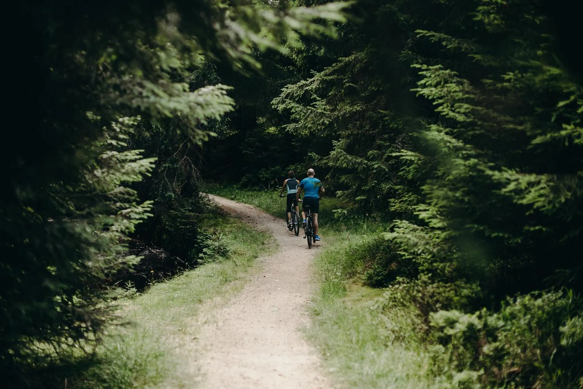 Day in Czarny Kamień Resort & SPA