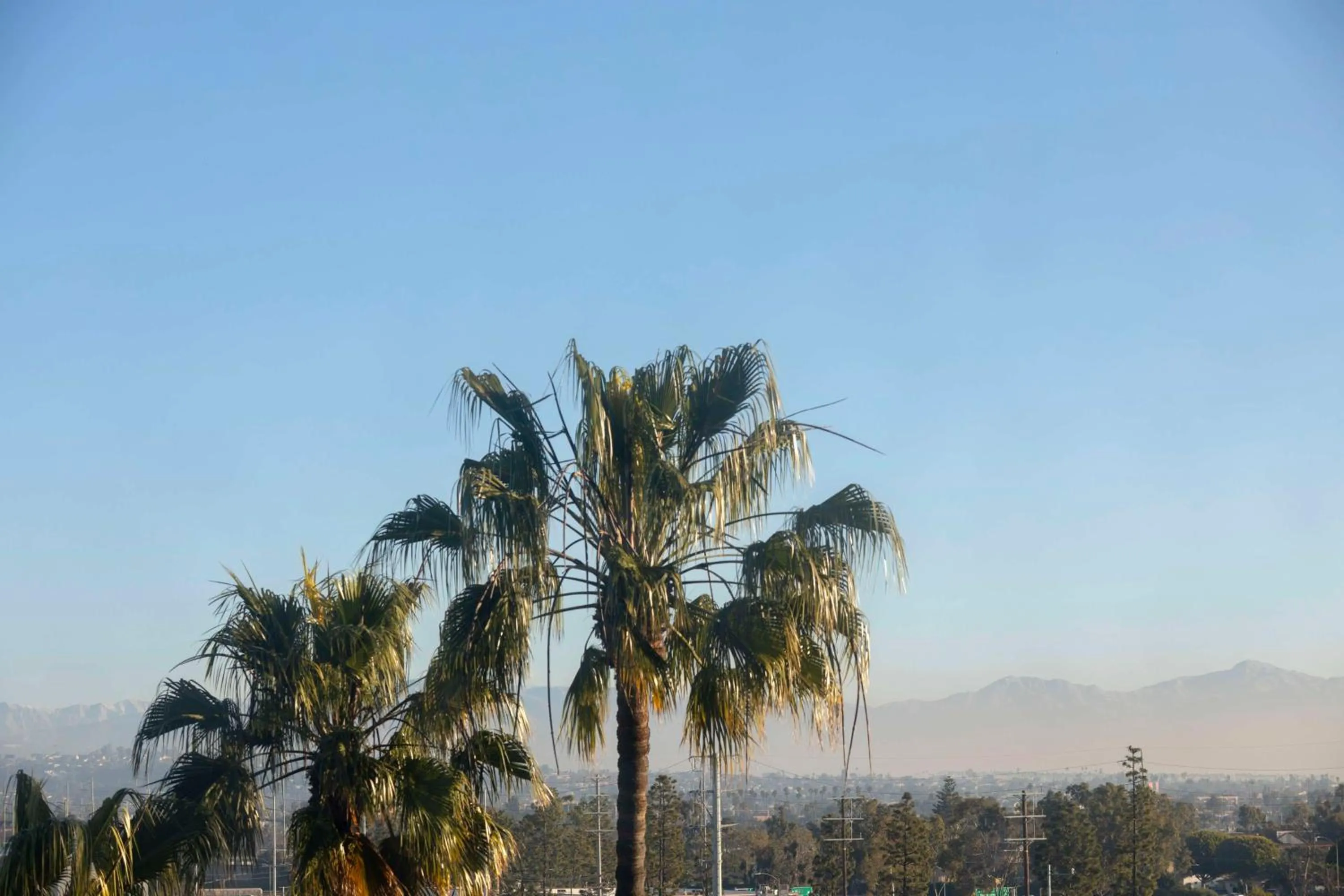 Mountain view in Hilton Garden Inn LAX Los Angeles Airport