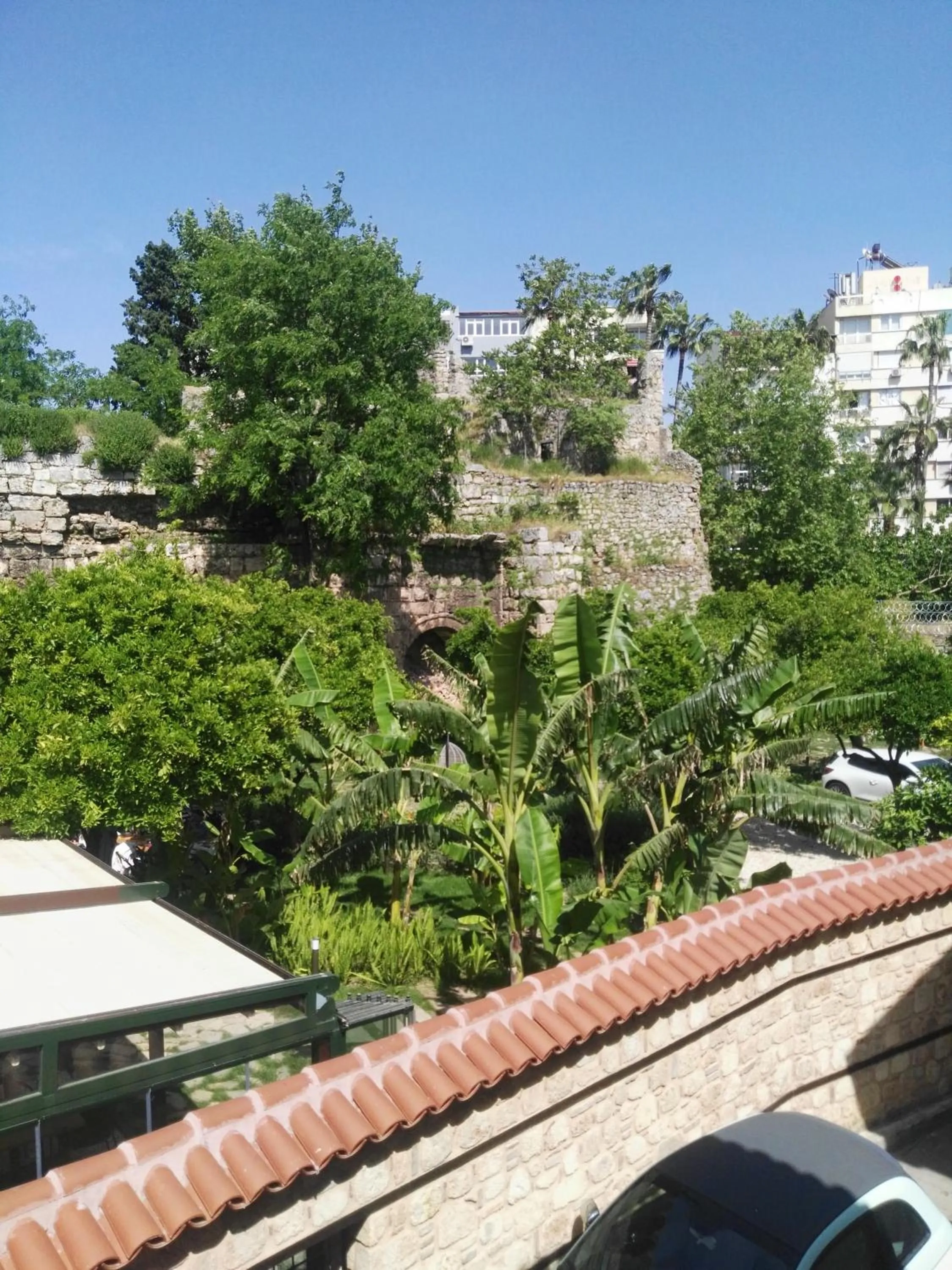 Garden view in Otel Wood House
