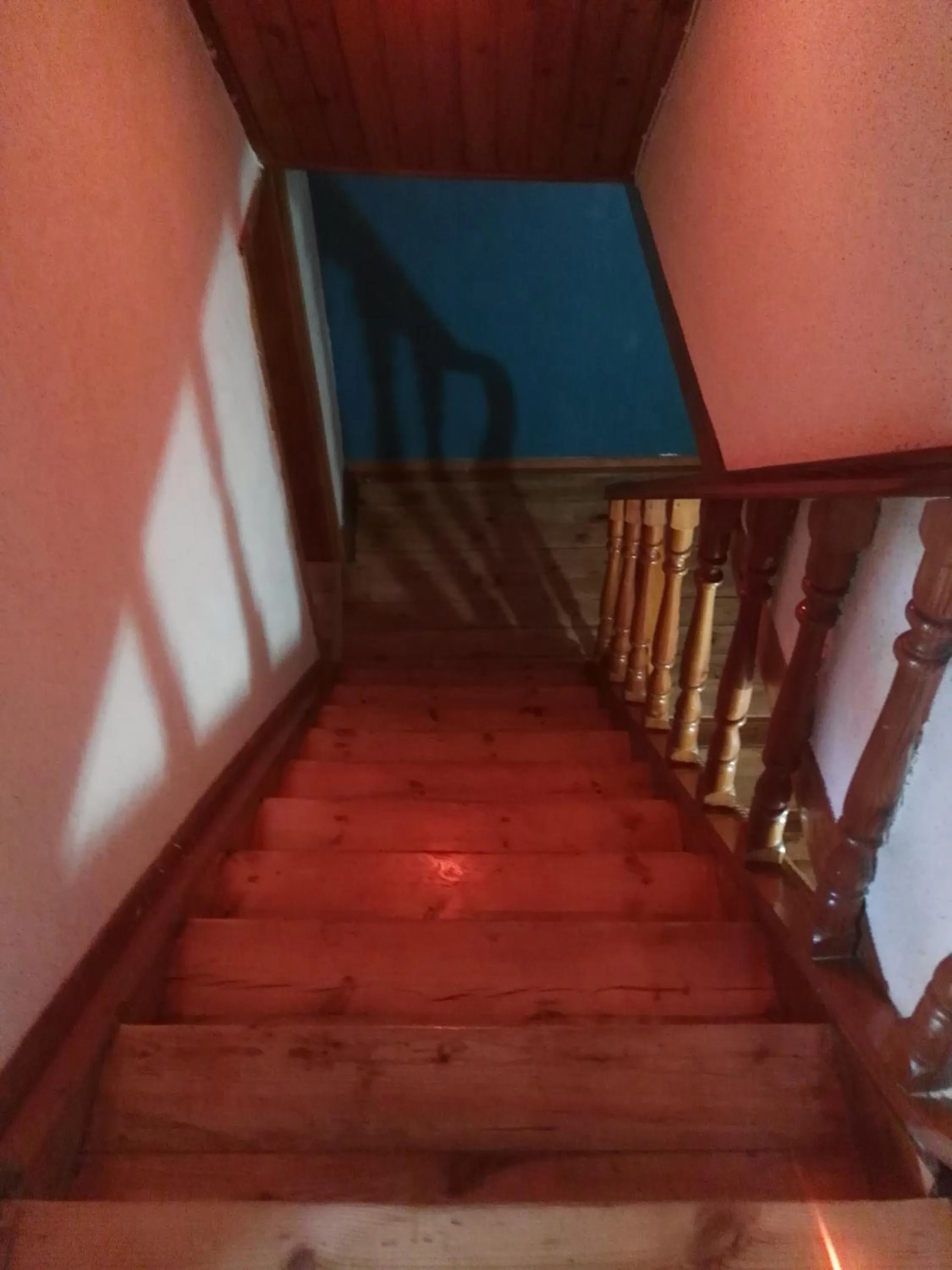 Other in Otel Wood House