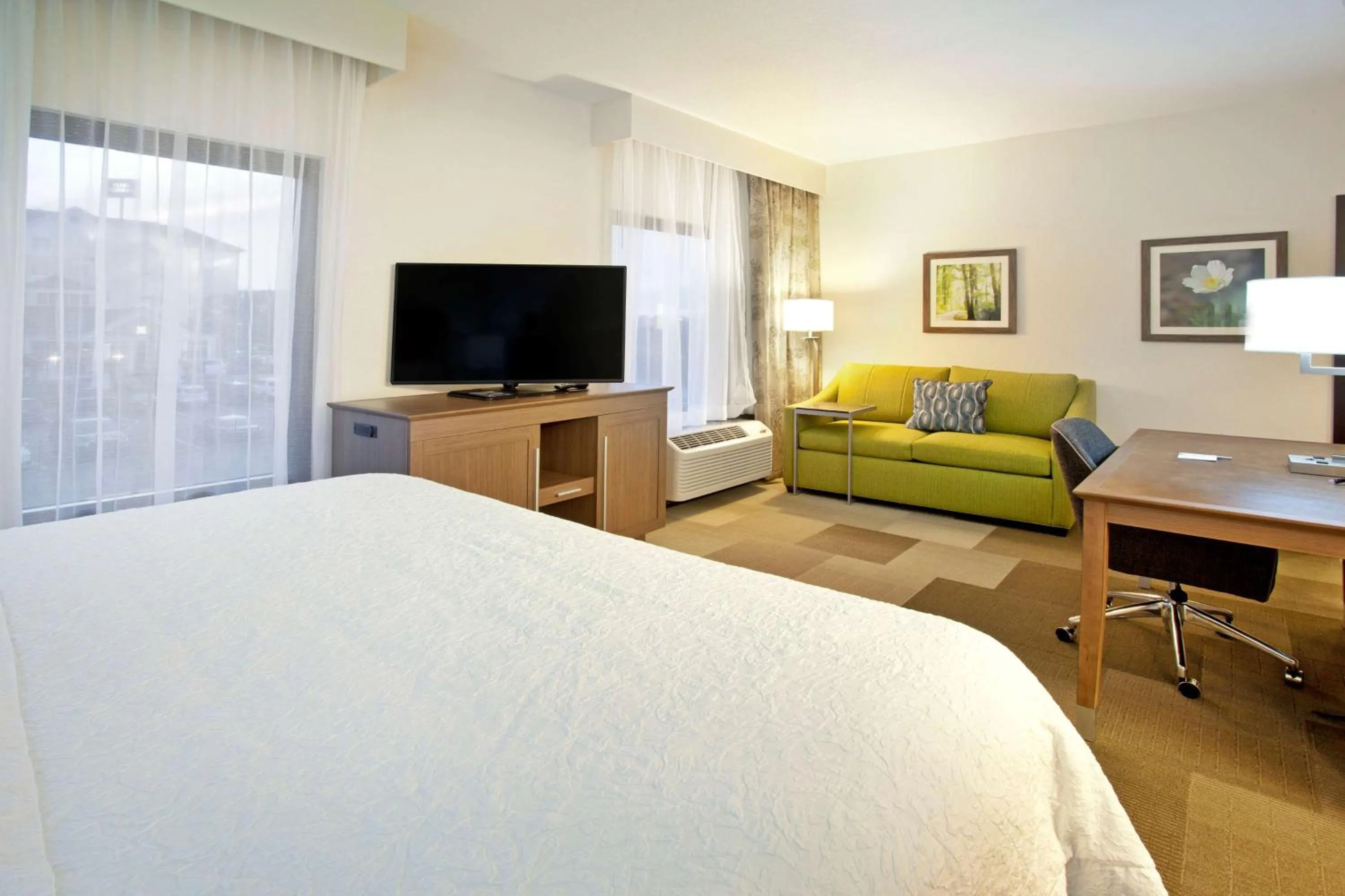 TV and multimedia, Bed in Hampton Inn & Suites Nashville-Smyrna