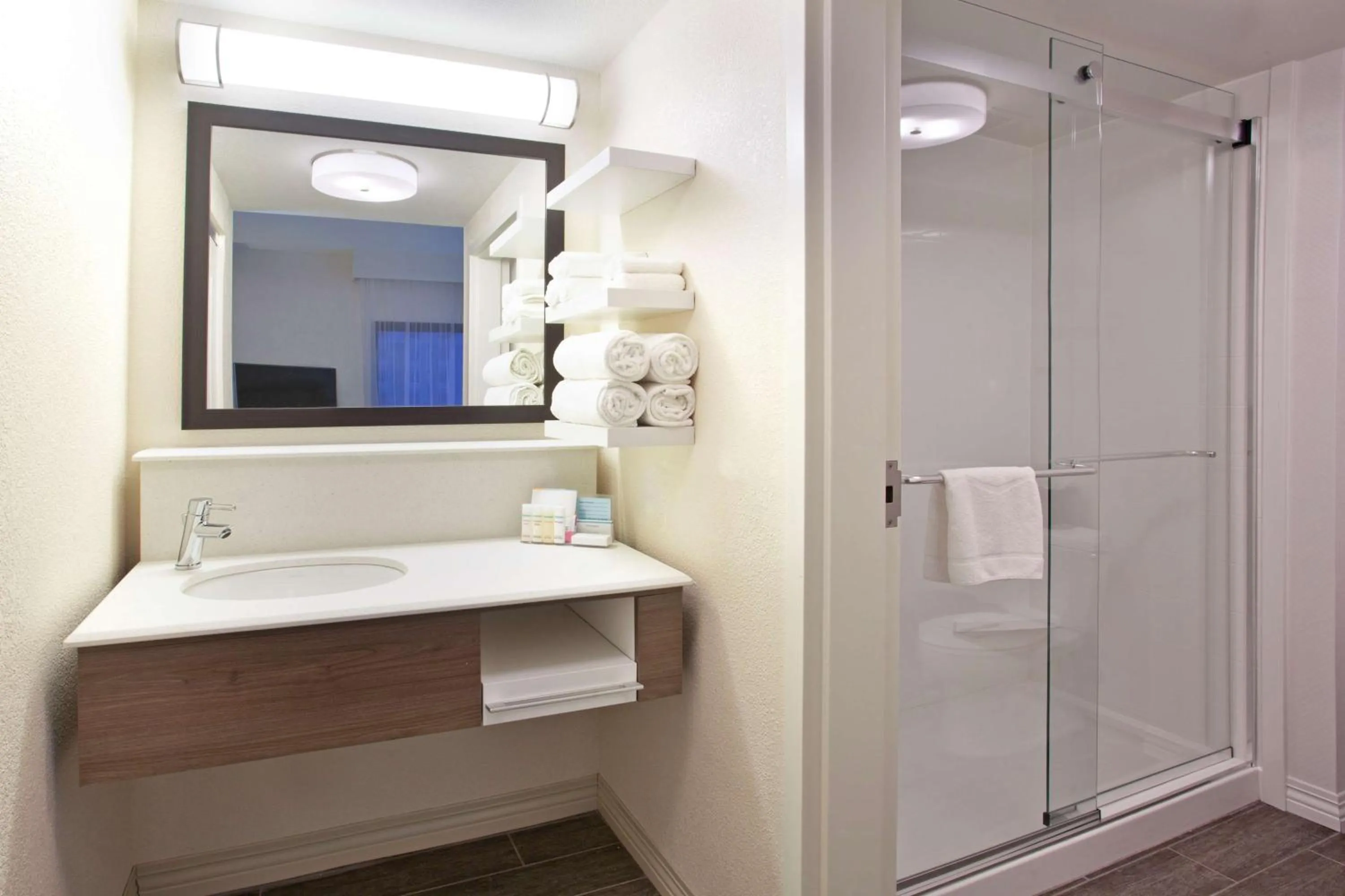 Shower in Hampton Inn & Suites Nashville-Smyrna
