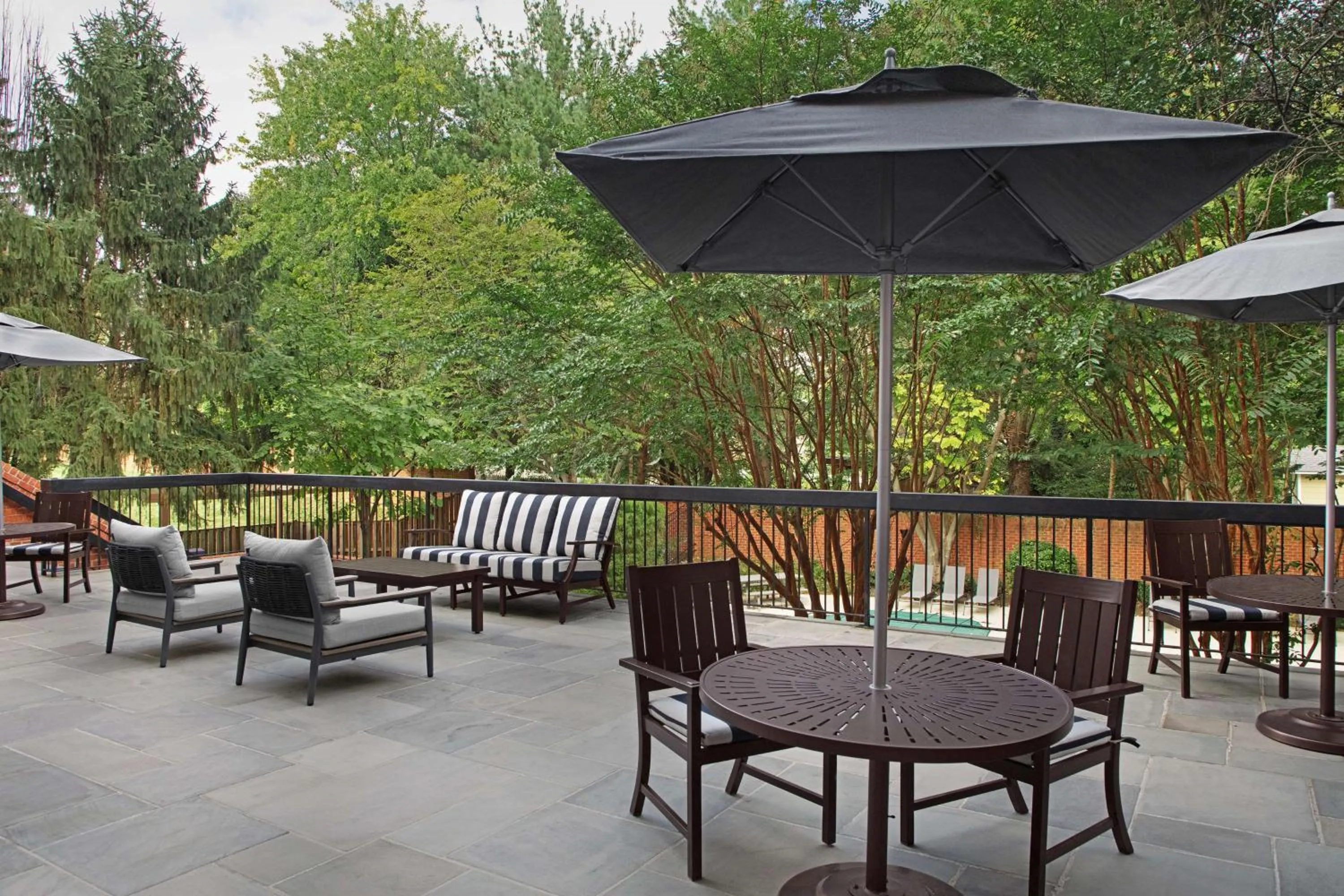 Day in Homewood Suites by Hilton Alexandria