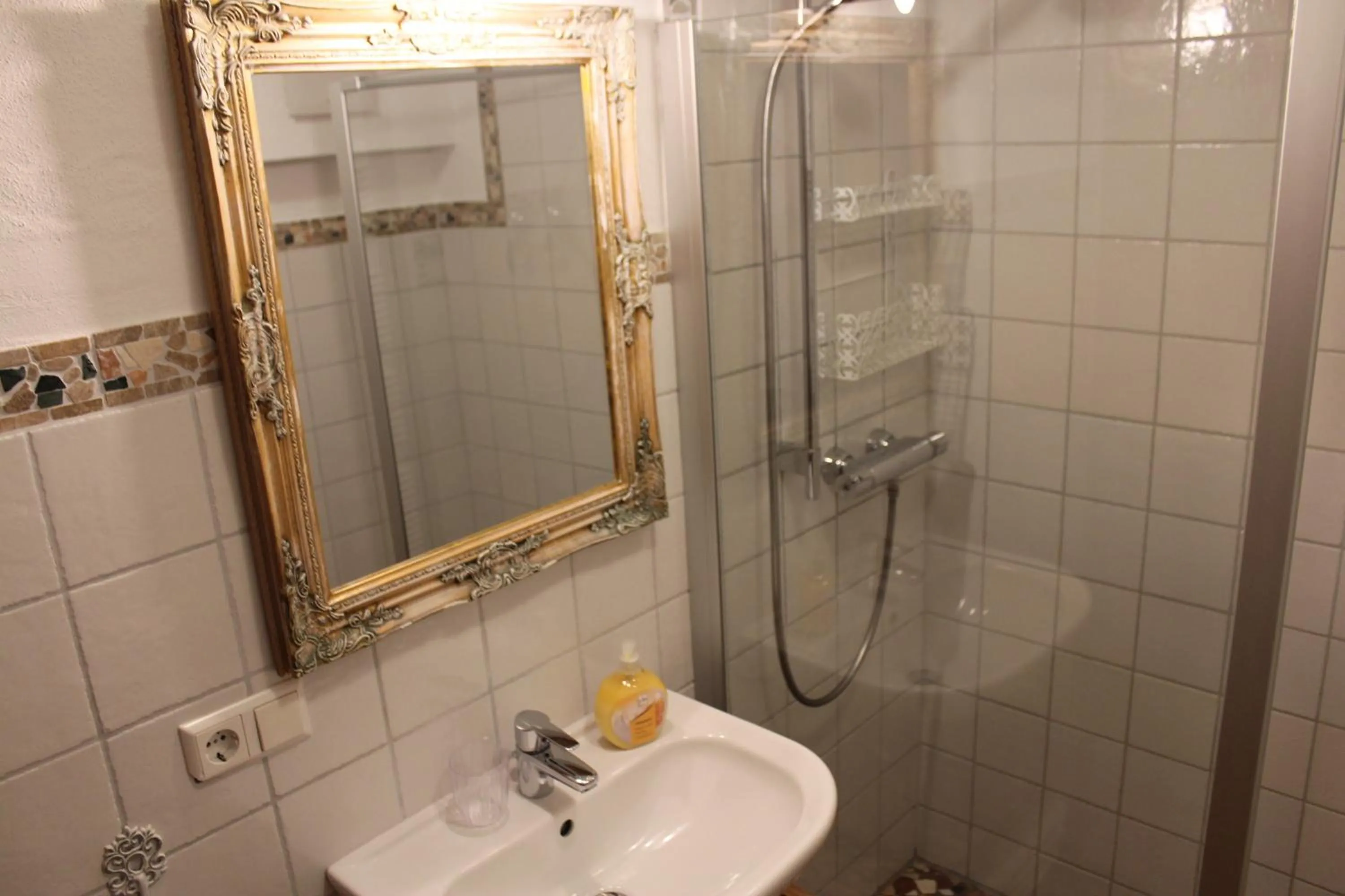 Shower in Pension Vanii, Apartments