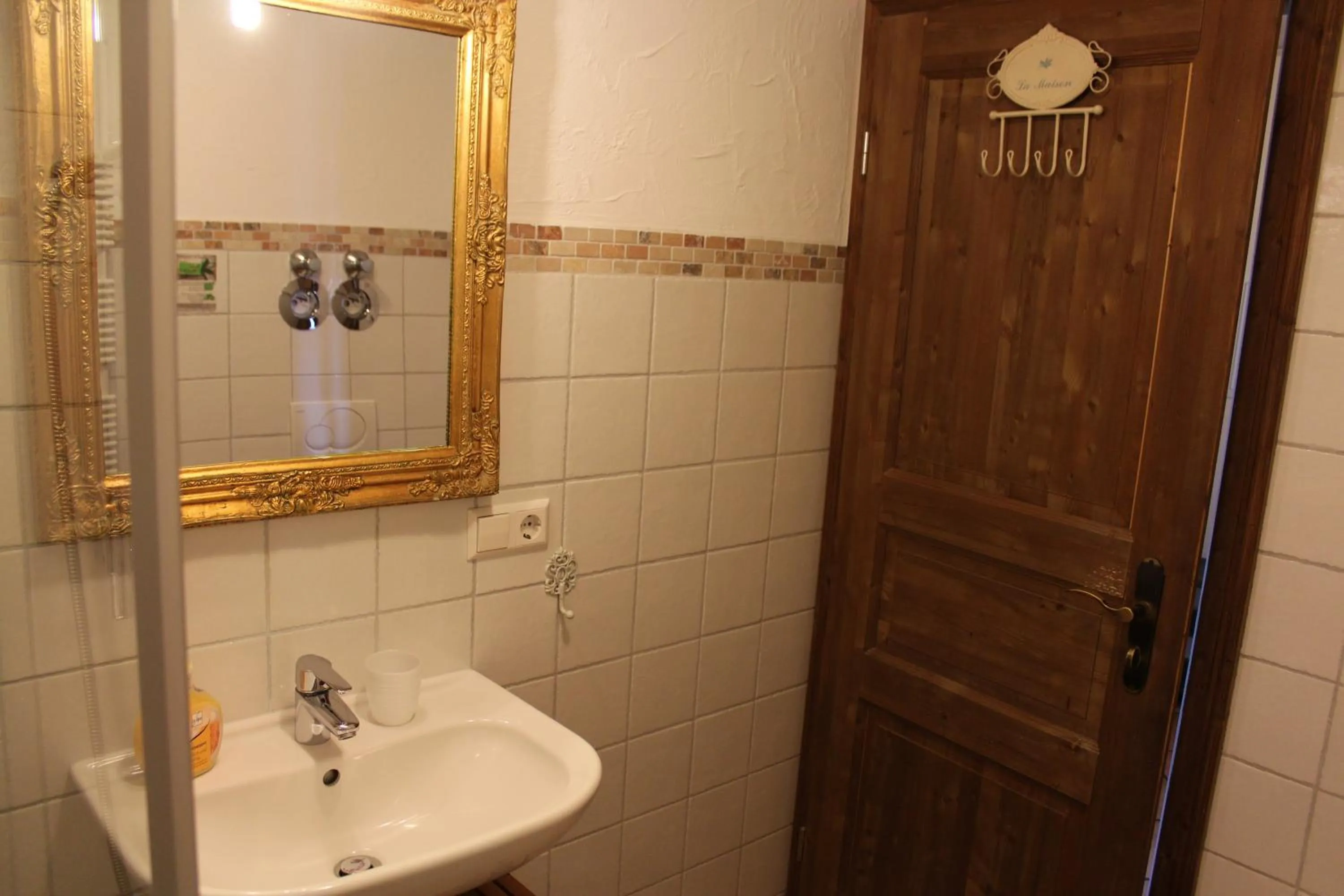 Shower in Pension Vanii, Apartments