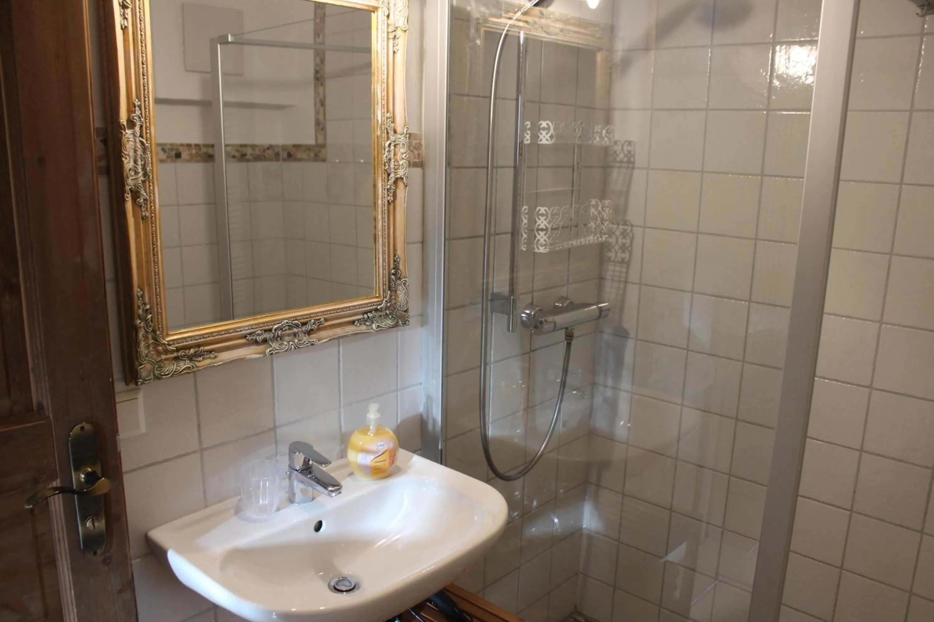 Shower in Pension Vanii, Apartments
