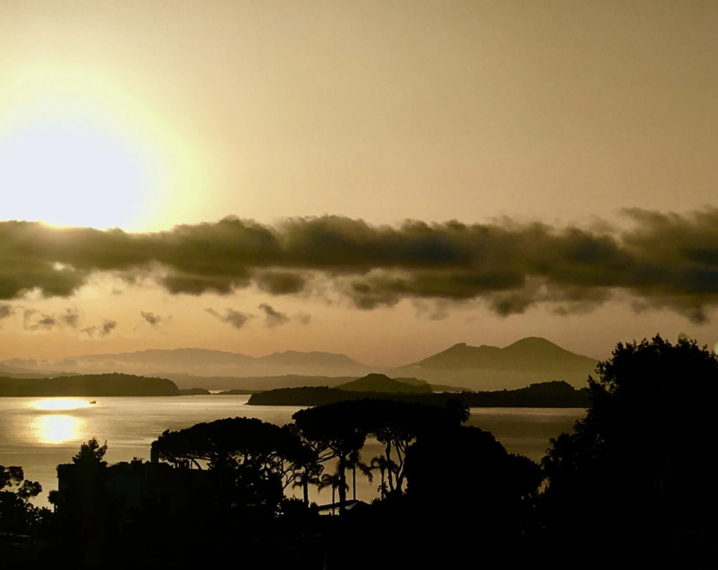 Garden in Agapanto Luxury Accommodation