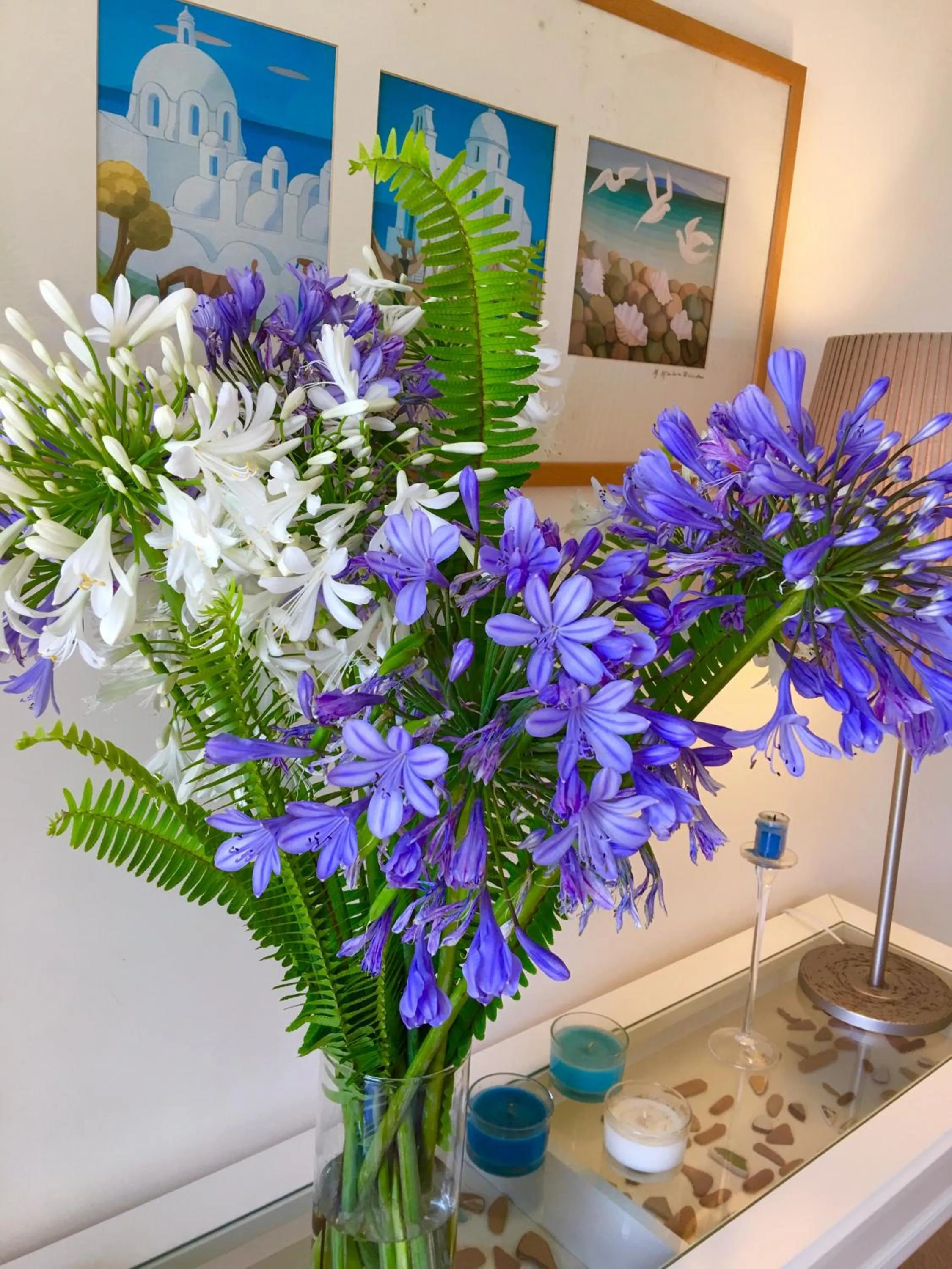 Agapanto Luxury Accommodation