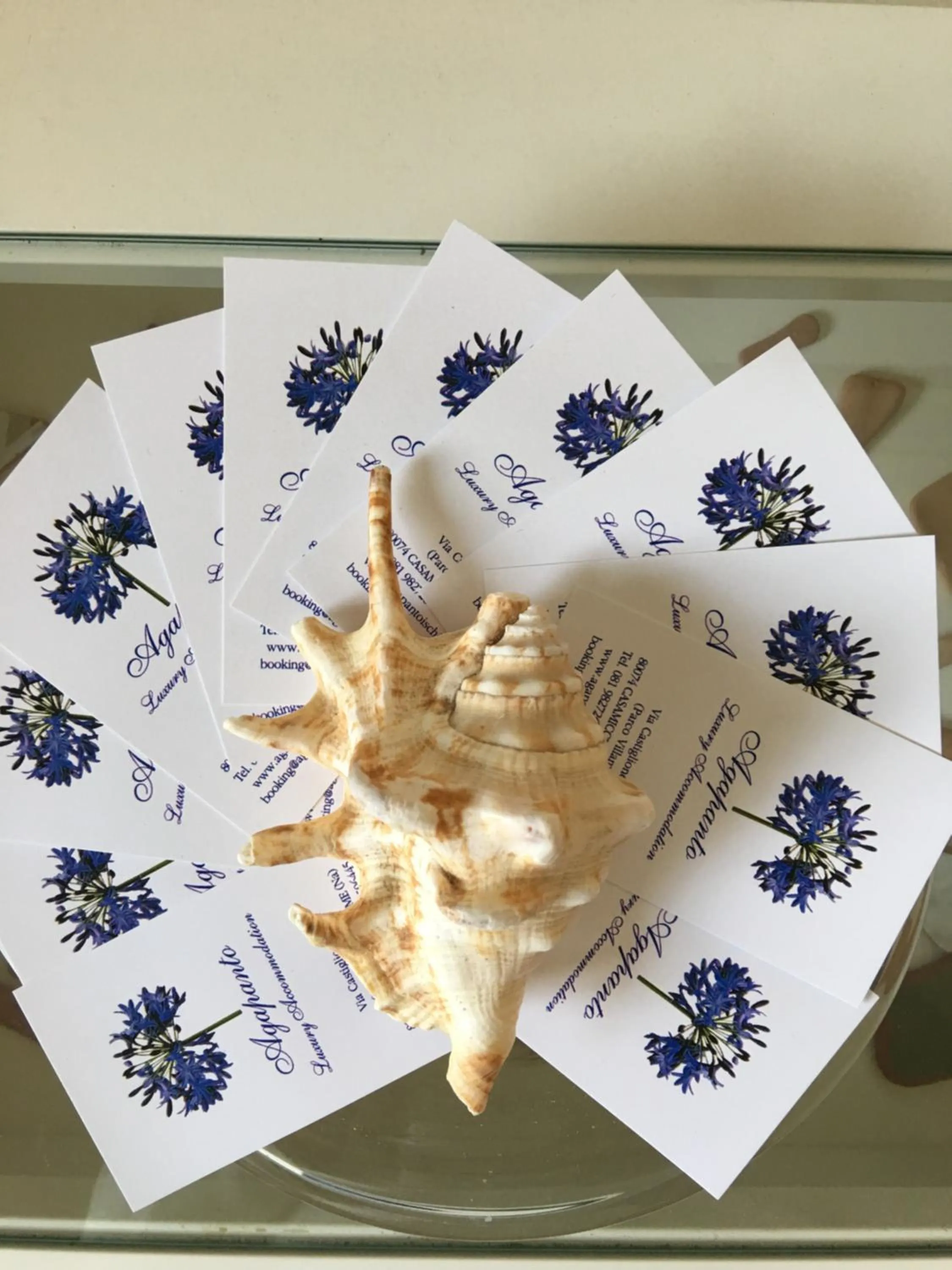 Agapanto Luxury Accommodation