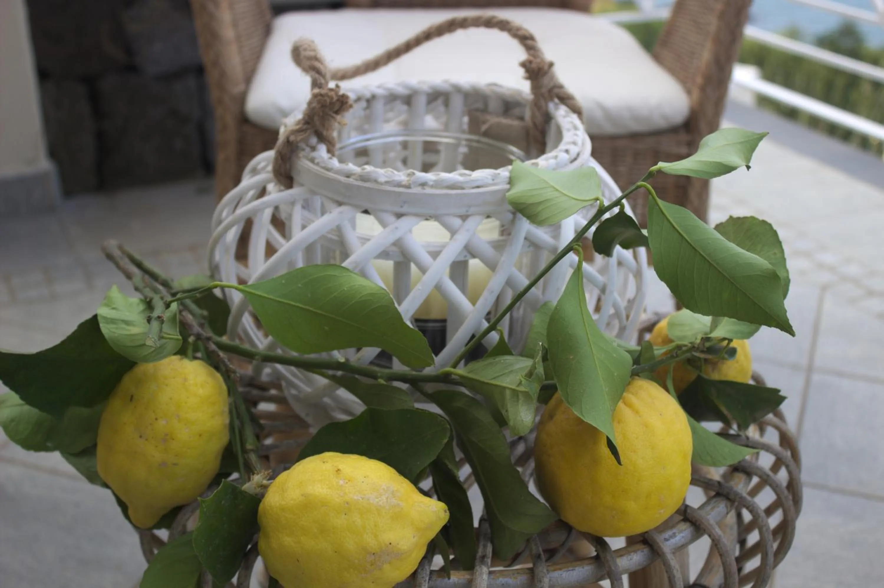 Balcony/Terrace in Agapanto Luxury Accommodation