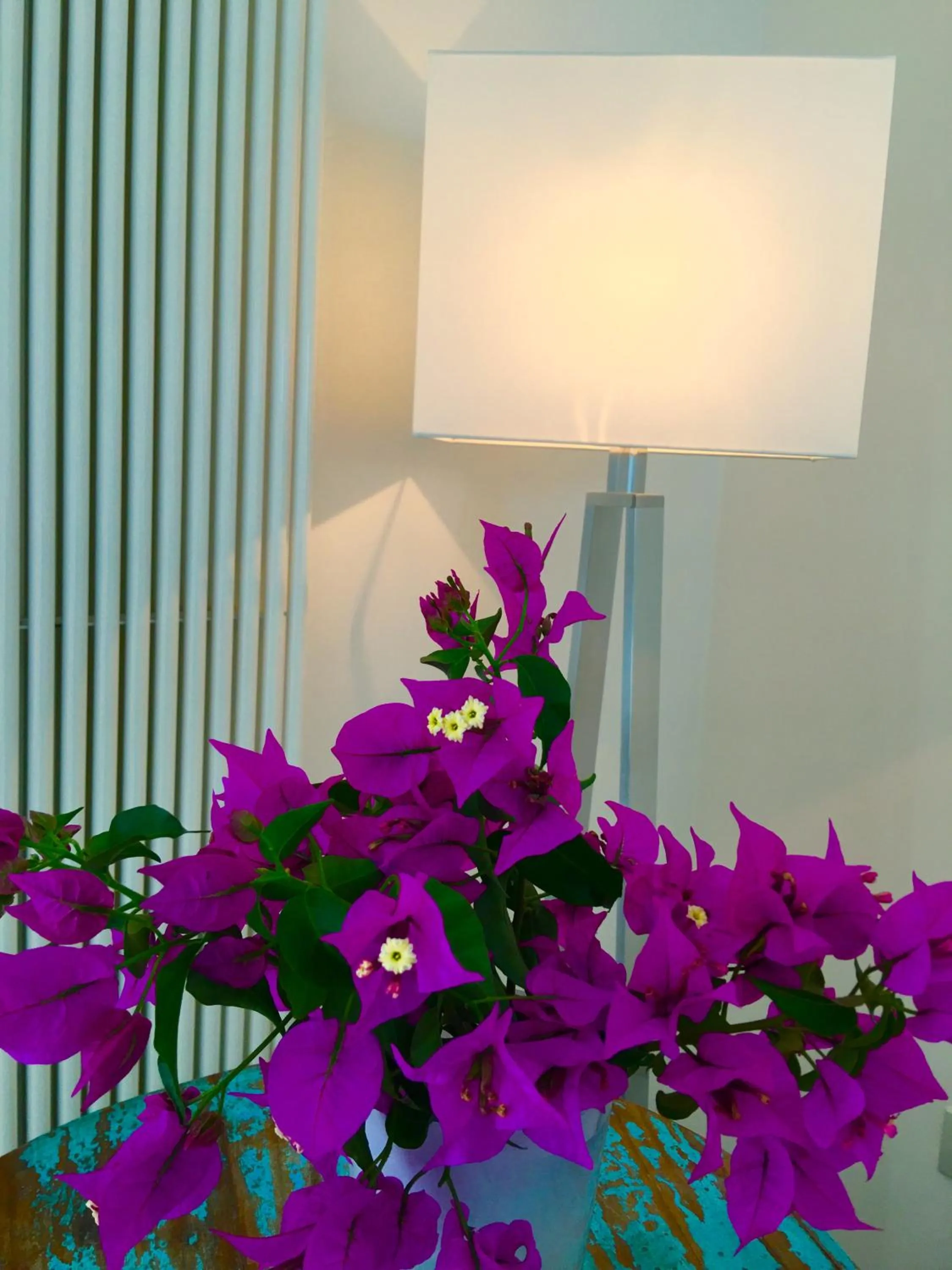 Agapanto Luxury Accommodation