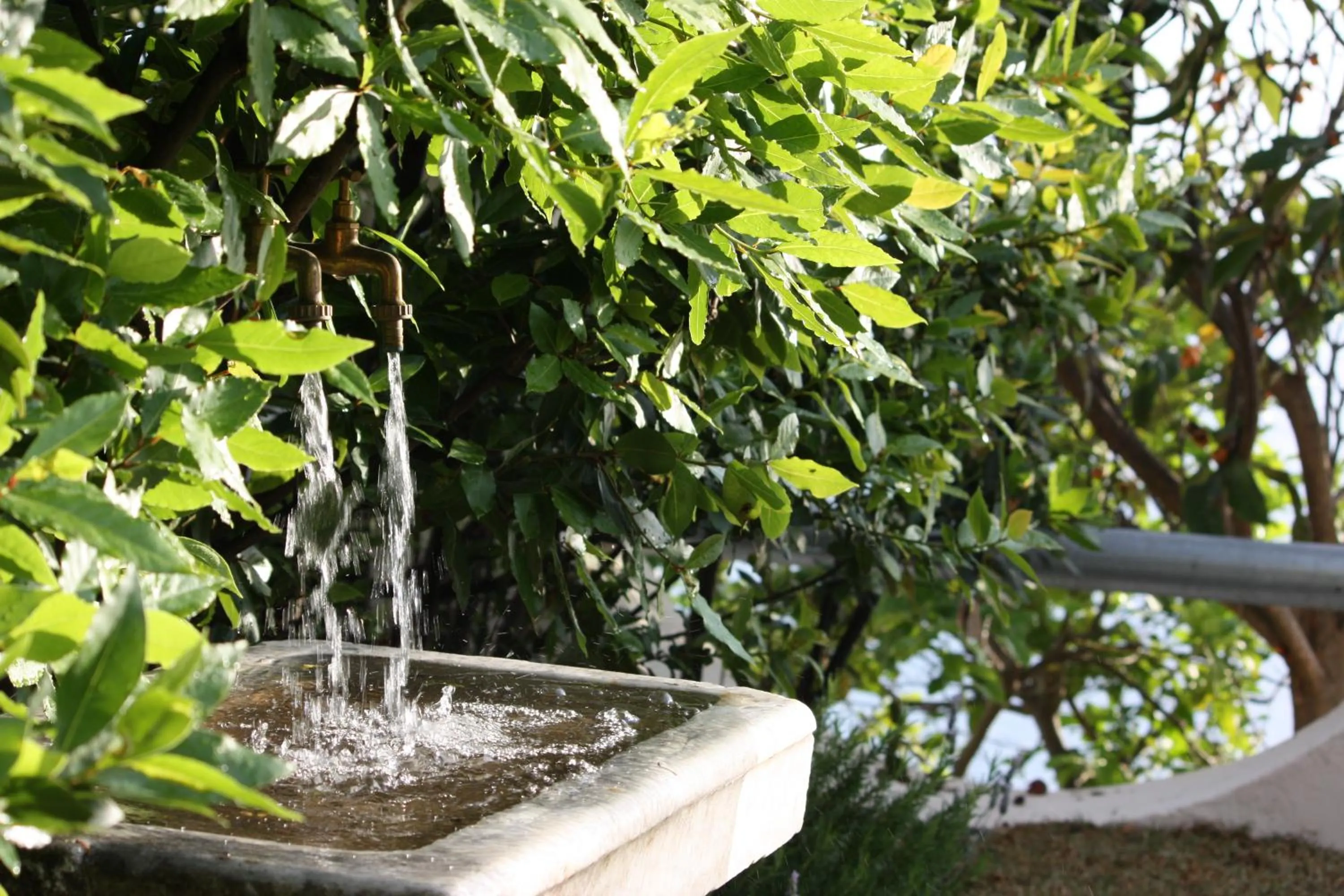 Garden in Agapanto Luxury Accommodation