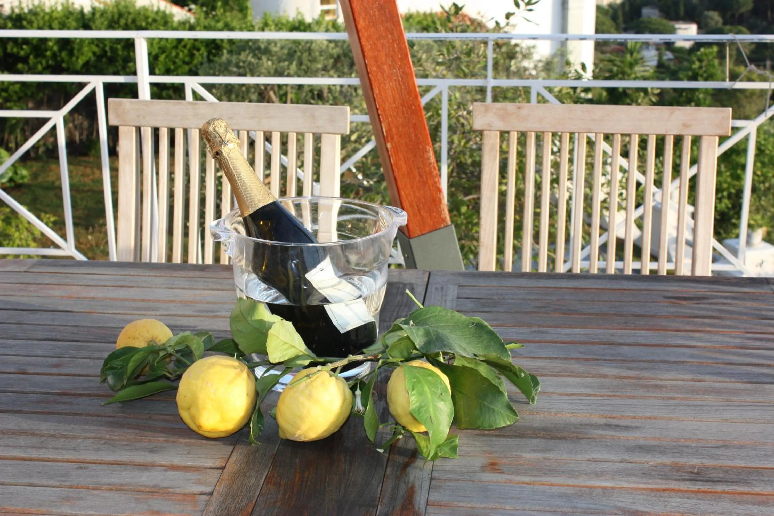 Balcony/Terrace in Agapanto Luxury Accommodation