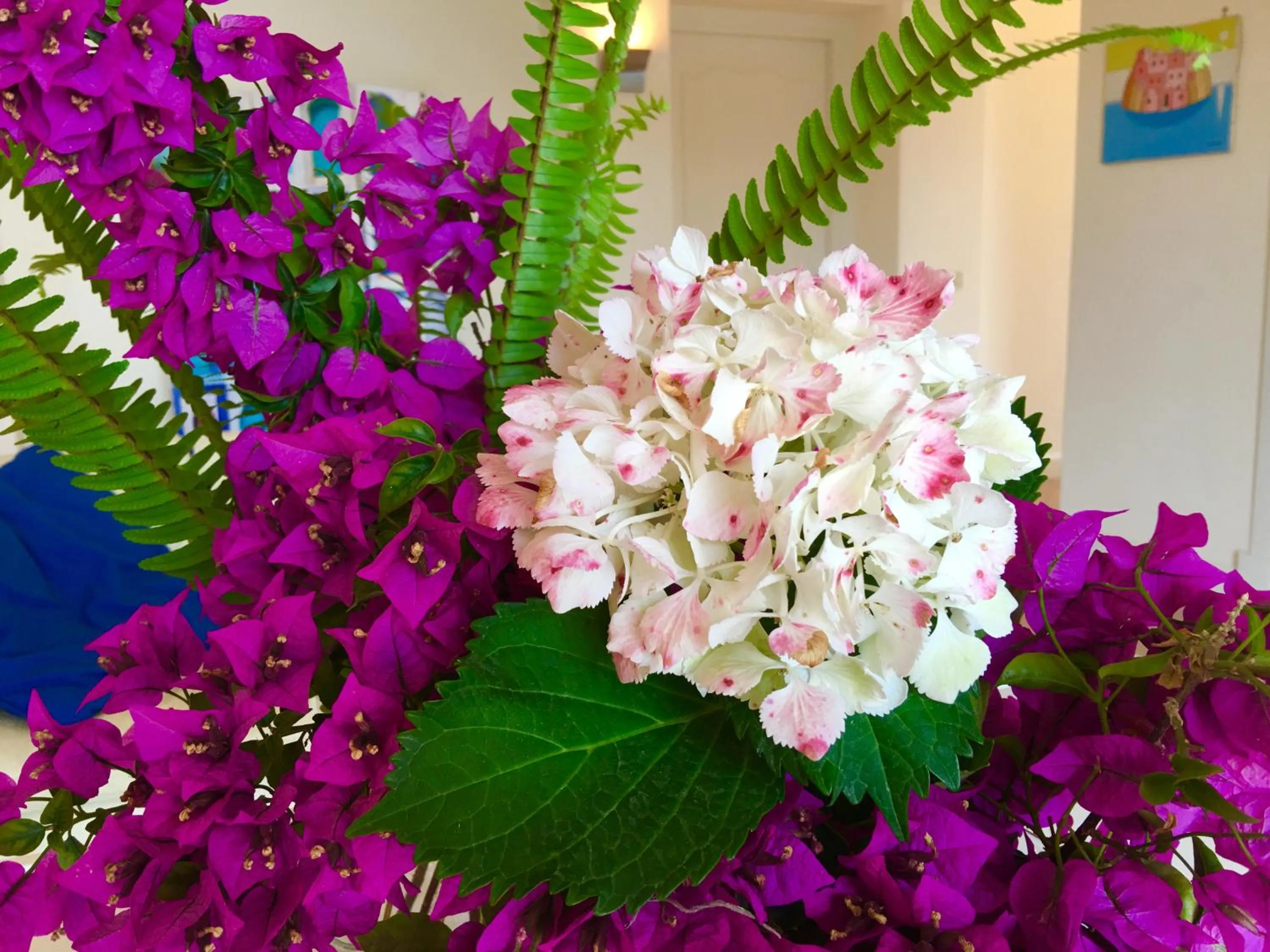 Agapanto Luxury Accommodation